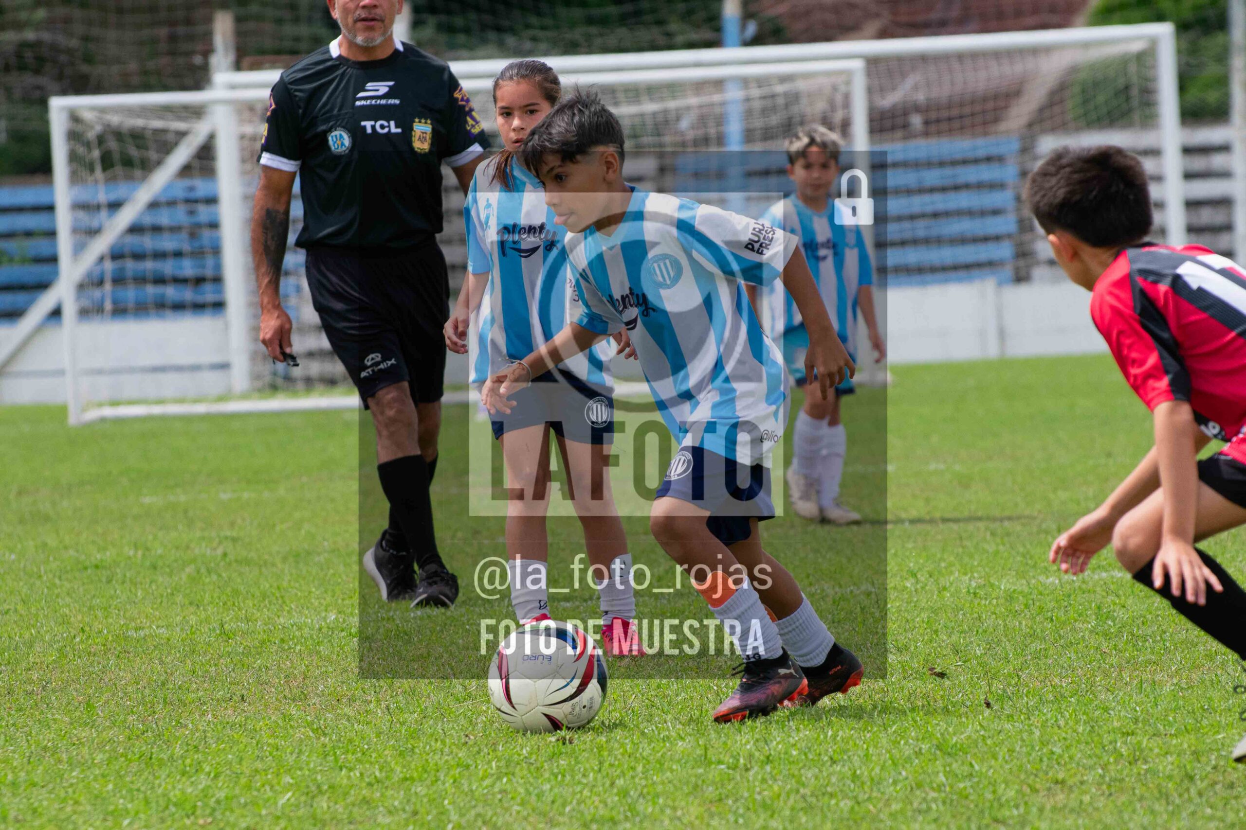 Fotografía 2015-ARG-NEW-57-scaled de ARGENTINO - NEWBERY / 2015 / 8-11