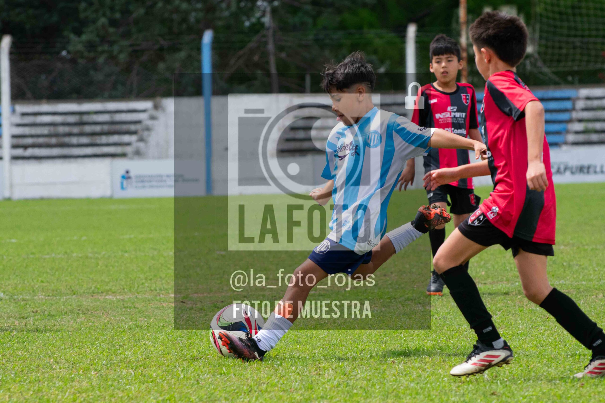 Fotografía 2015-ARG-NEW-58-scaled de ARGENTINO - NEWBERY / 2015 / 8-11