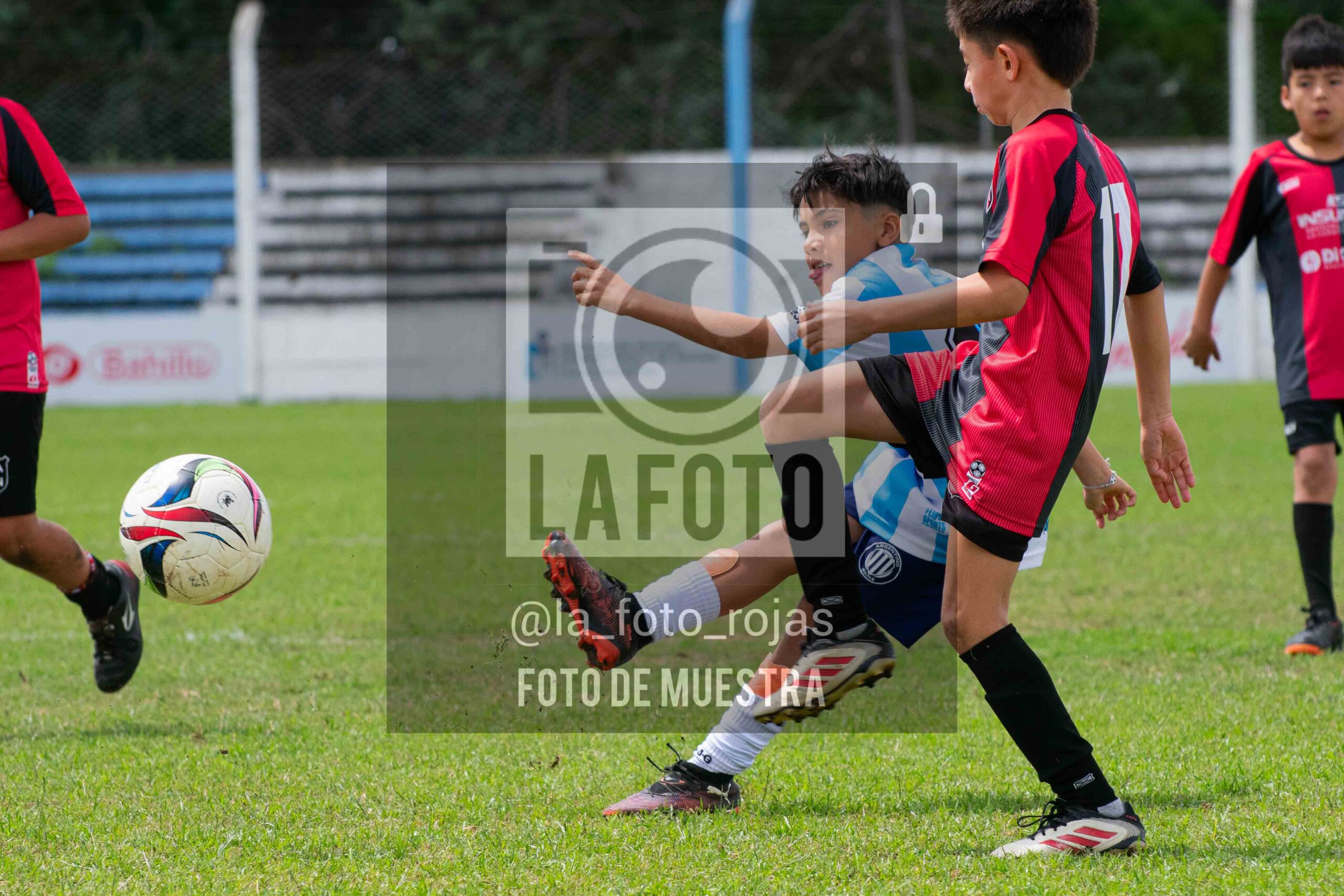 Fotografía 2015-ARG-NEW-59-scaled de ARGENTINO - NEWBERY / 2015 / 8-11
