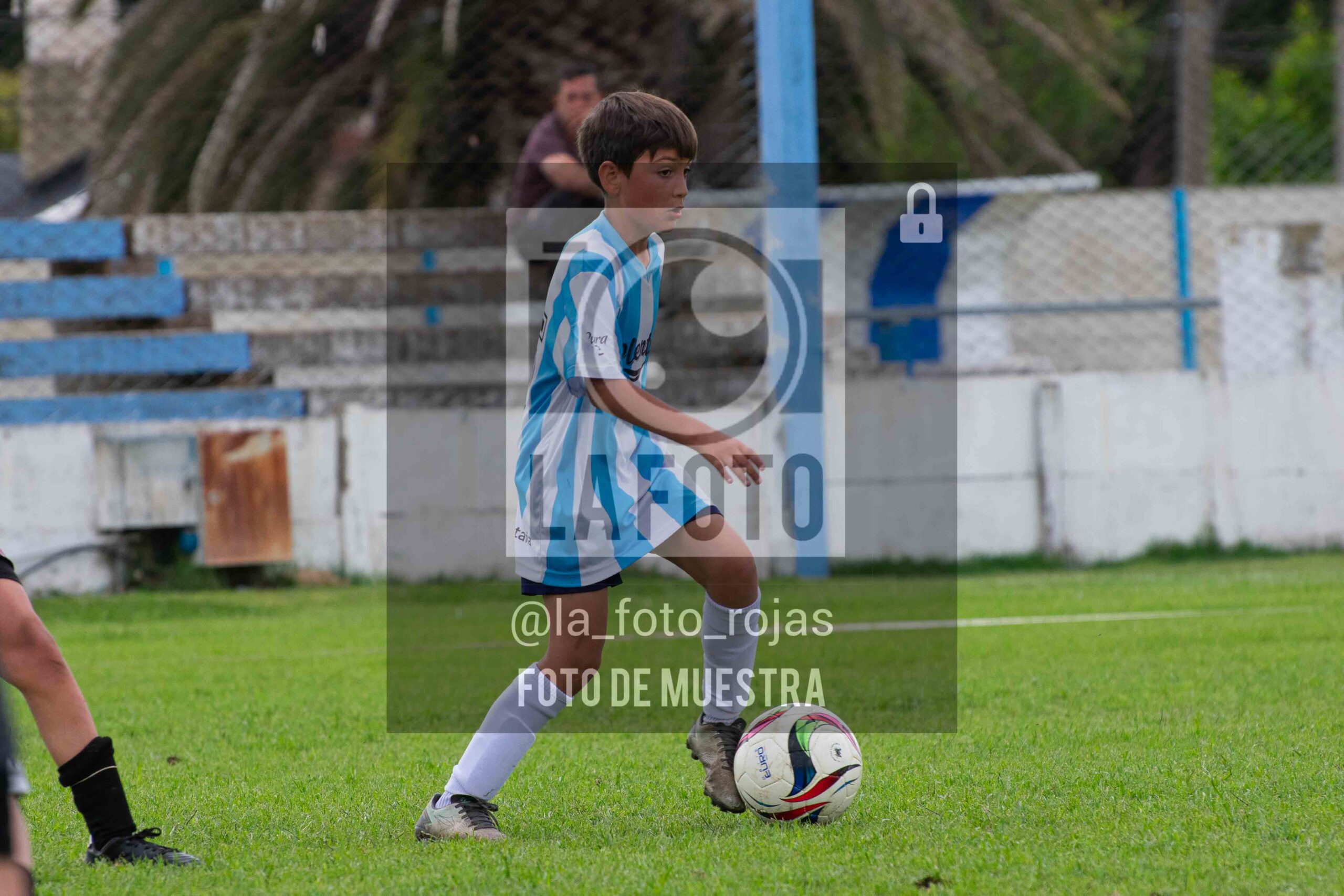 Fotografía 2015-ARG-NEW-62-scaled de ARGENTINO - NEWBERY / 2015 / 8-11