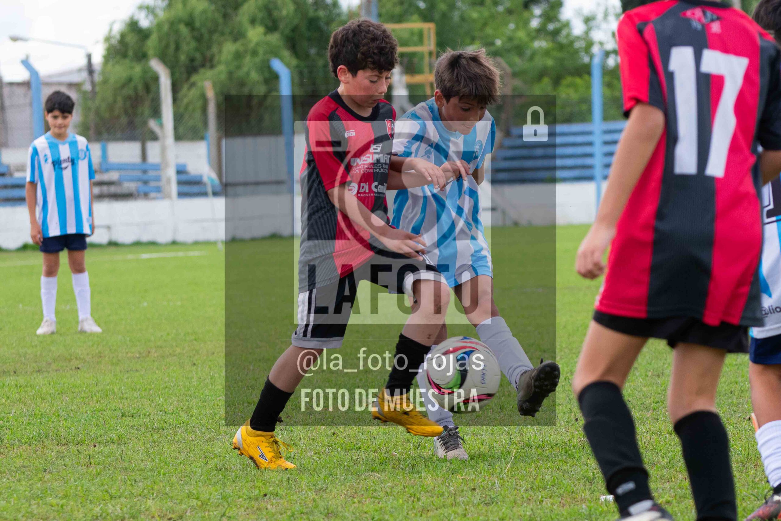 Fotografía 2015-ARG-NEW-65-scaled de ARGENTINO - NEWBERY / 2015 / 8-11
