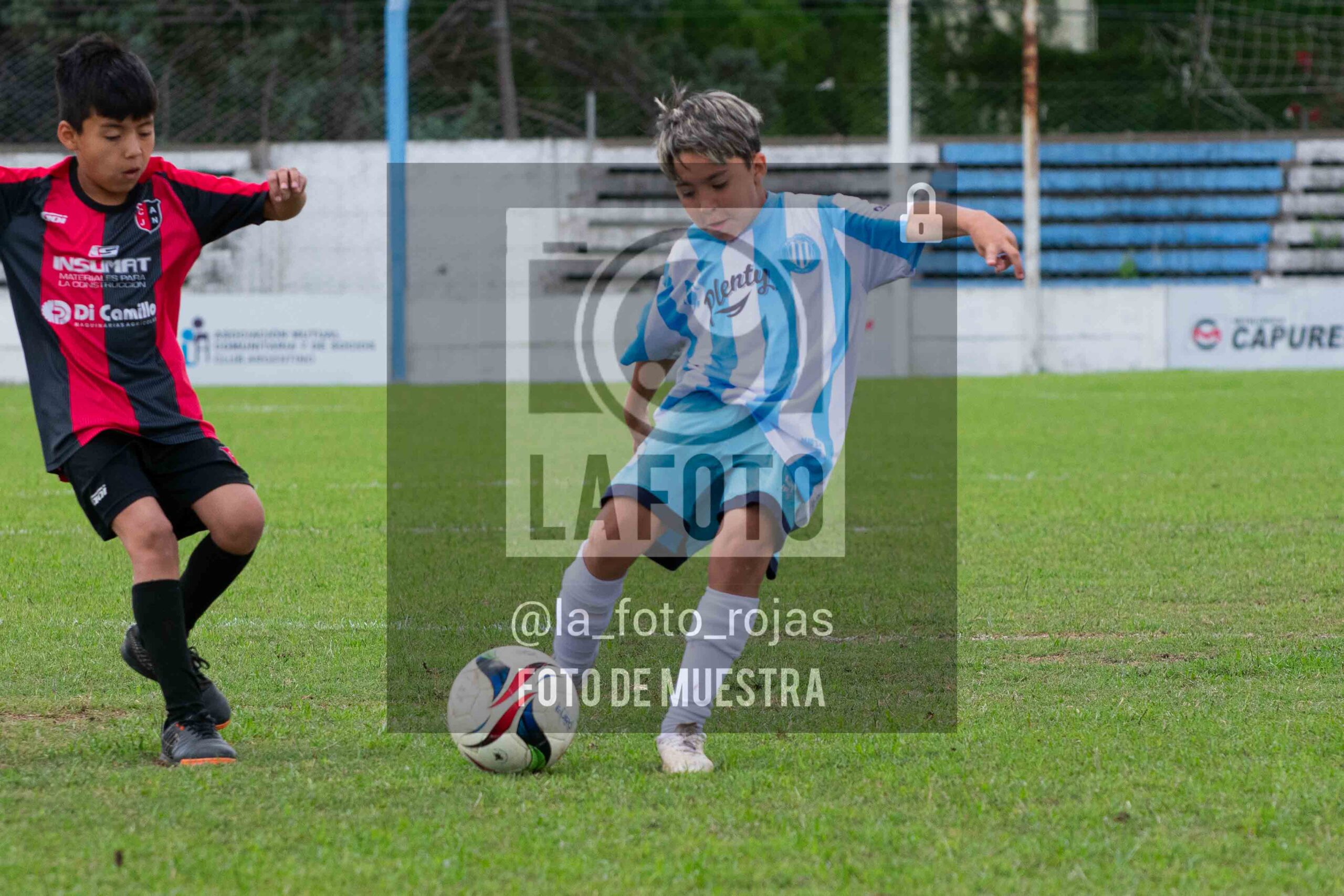 Fotografía 2015-ARG-NEW-66-scaled de ARGENTINO - NEWBERY / 2015 / 8-11