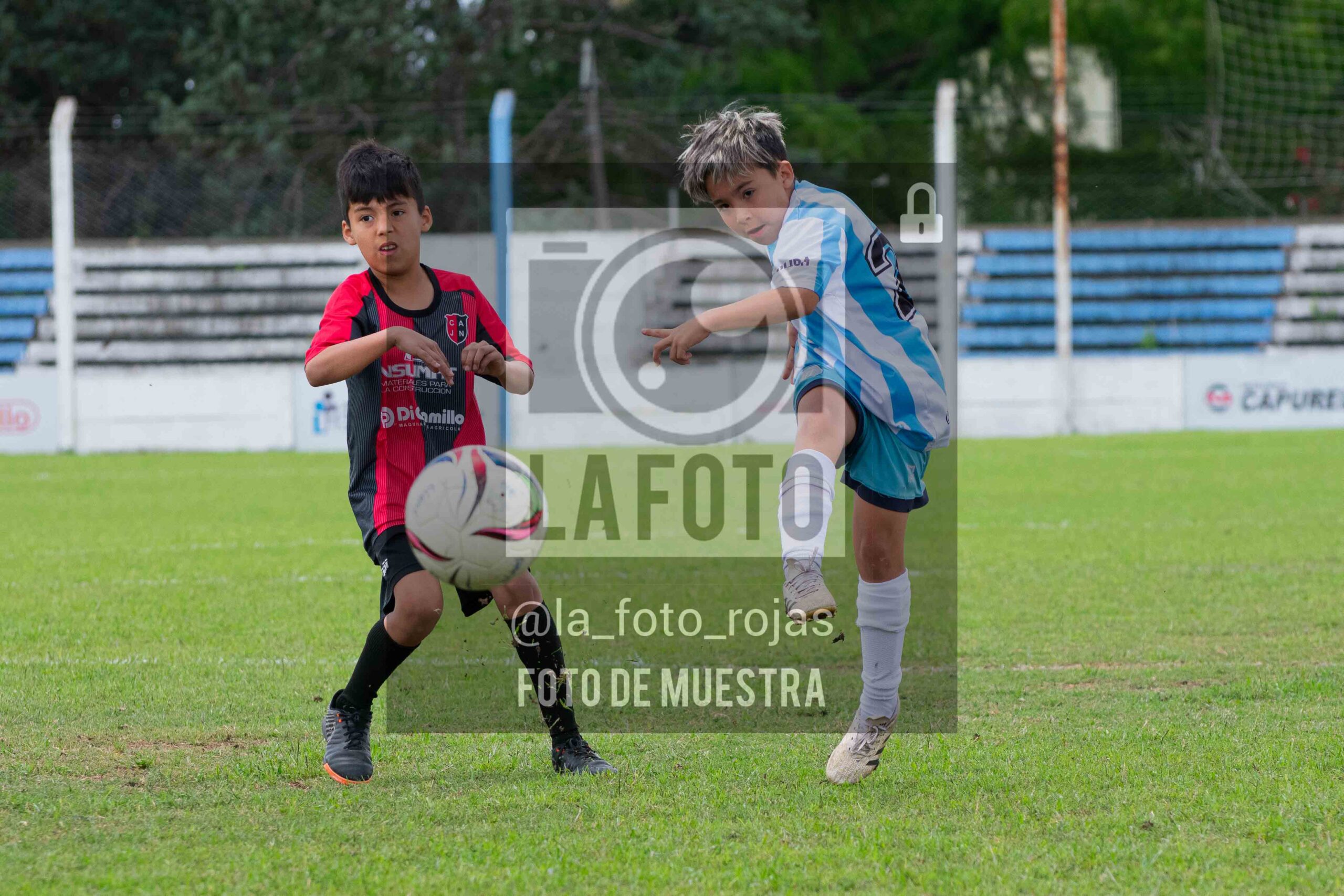 Fotografía 2015-ARG-NEW-67-scaled de ARGENTINO - NEWBERY / 2015 / 8-11