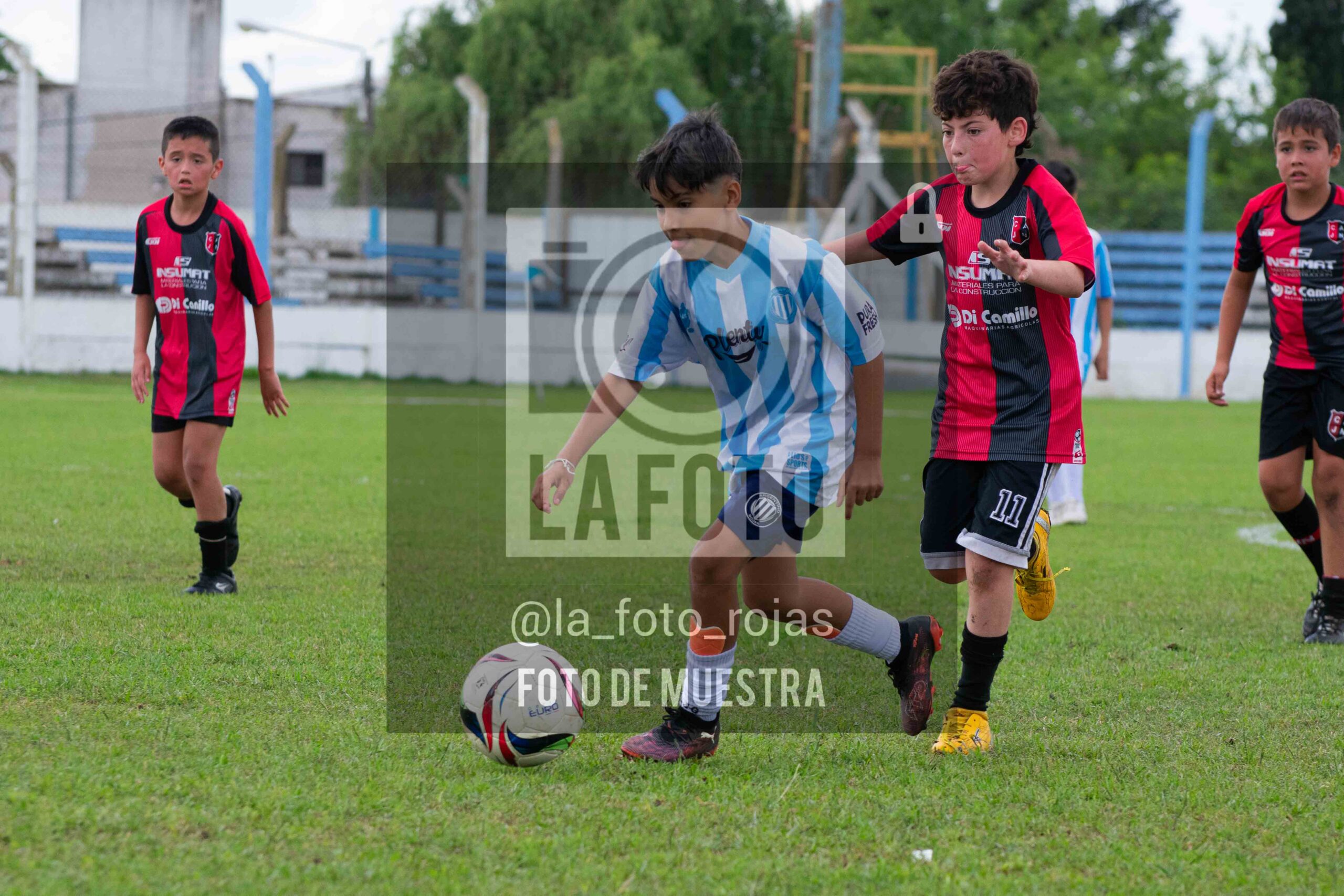 Fotografía 2015-ARG-NEW-68-scaled de ARGENTINO - NEWBERY / 2015 / 8-11