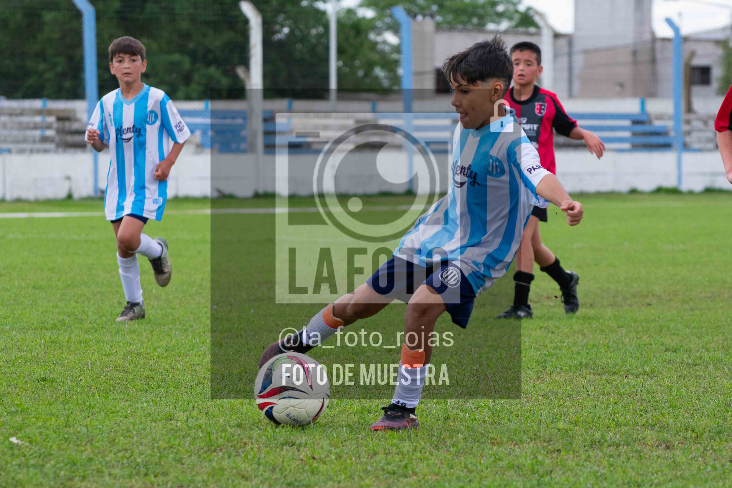 Fotografía 2015-ARG-NEW-69-scaled de ARGENTINO - NEWBERY / 2015 / 8-11