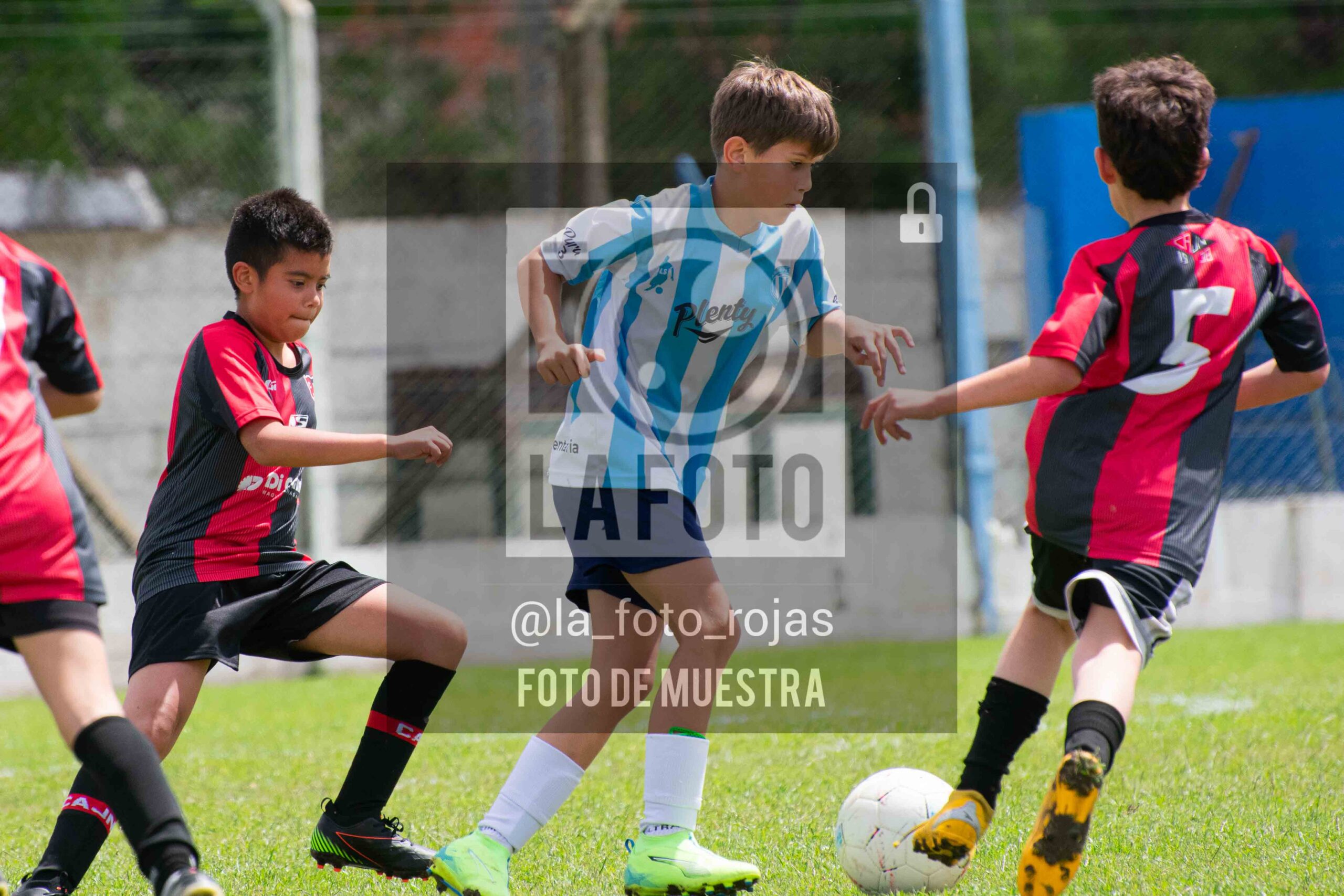 Fotografía 2015-ARG-NEW-7-scaled de ARGENTINO - NEWBERY / 2015 / 8-11
