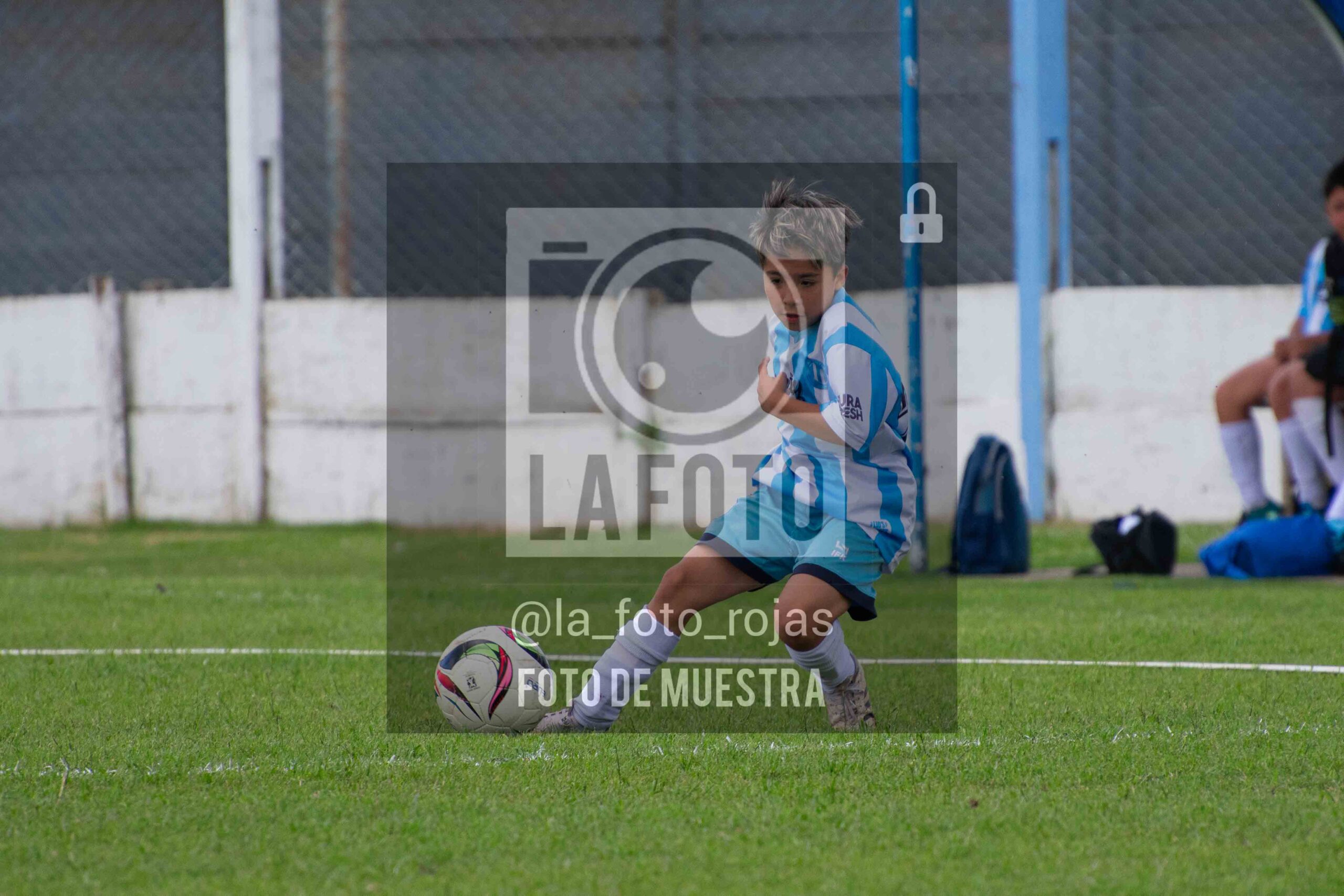 Fotografía 2015-ARG-NEW-70-scaled de ARGENTINO - NEWBERY / 2015 / 8-11