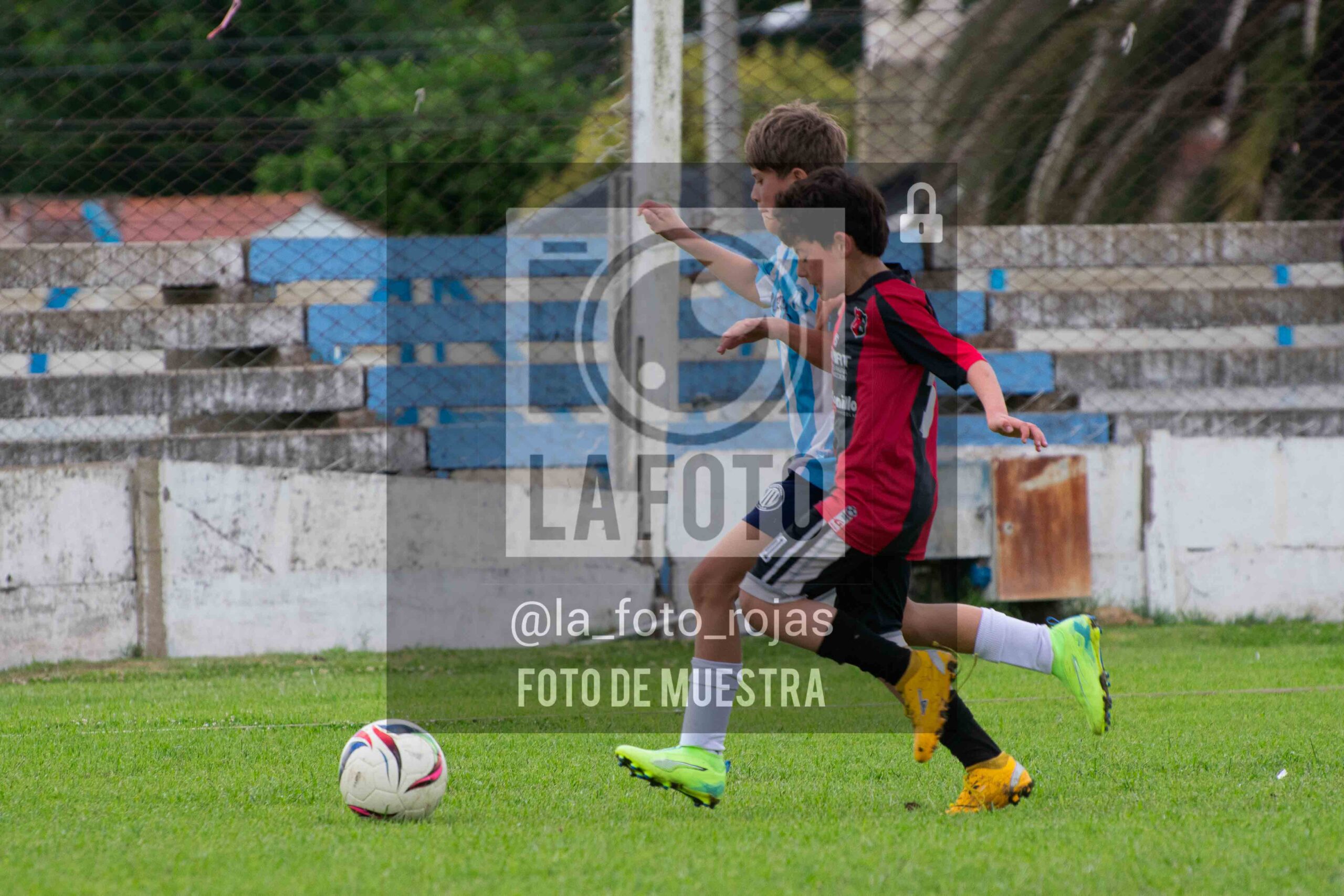 Fotografía 2015-ARG-NEW-72-scaled de ARGENTINO - NEWBERY / 2015 / 8-11