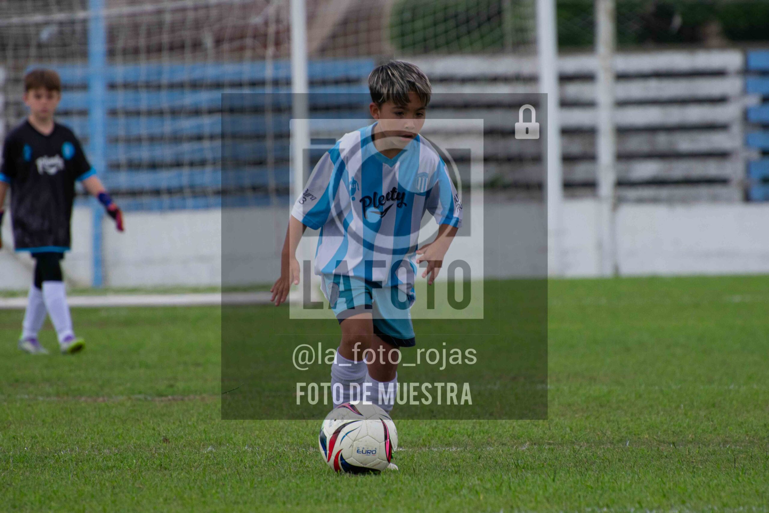 Fotografía 2015-ARG-NEW-74-scaled de ARGENTINO - NEWBERY / 2015 / 8-11