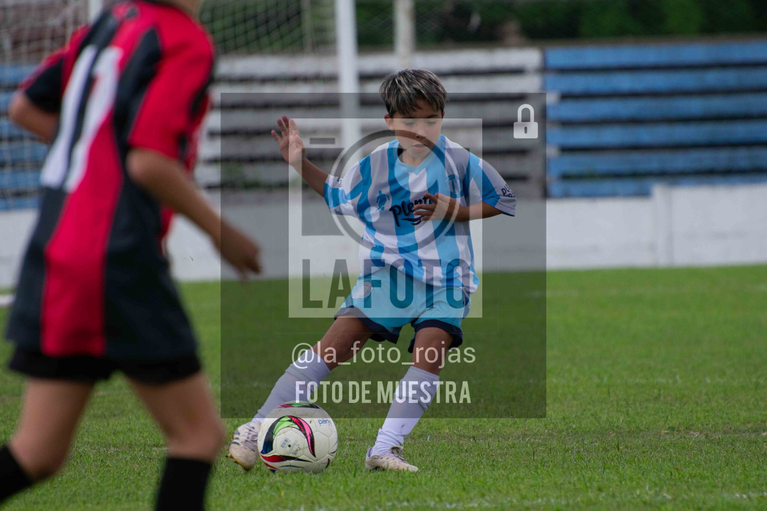Fotografía 2015-ARG-NEW-75-scaled de ARGENTINO - NEWBERY / 2015 / 8-11
