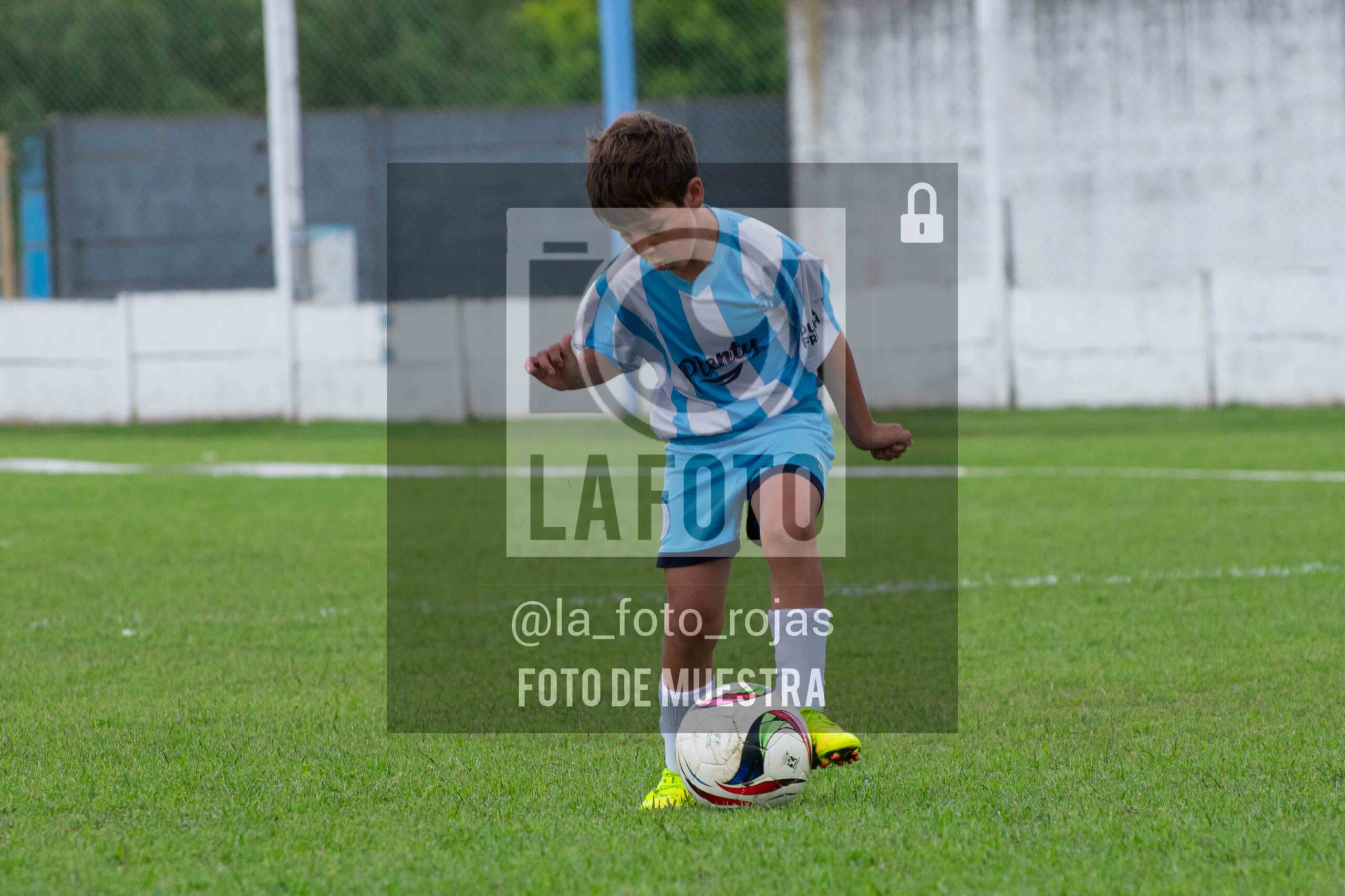 Fotografía 2015-ARG-NEW-76-scaled de ARGENTINO - NEWBERY / 2015 / 8-11