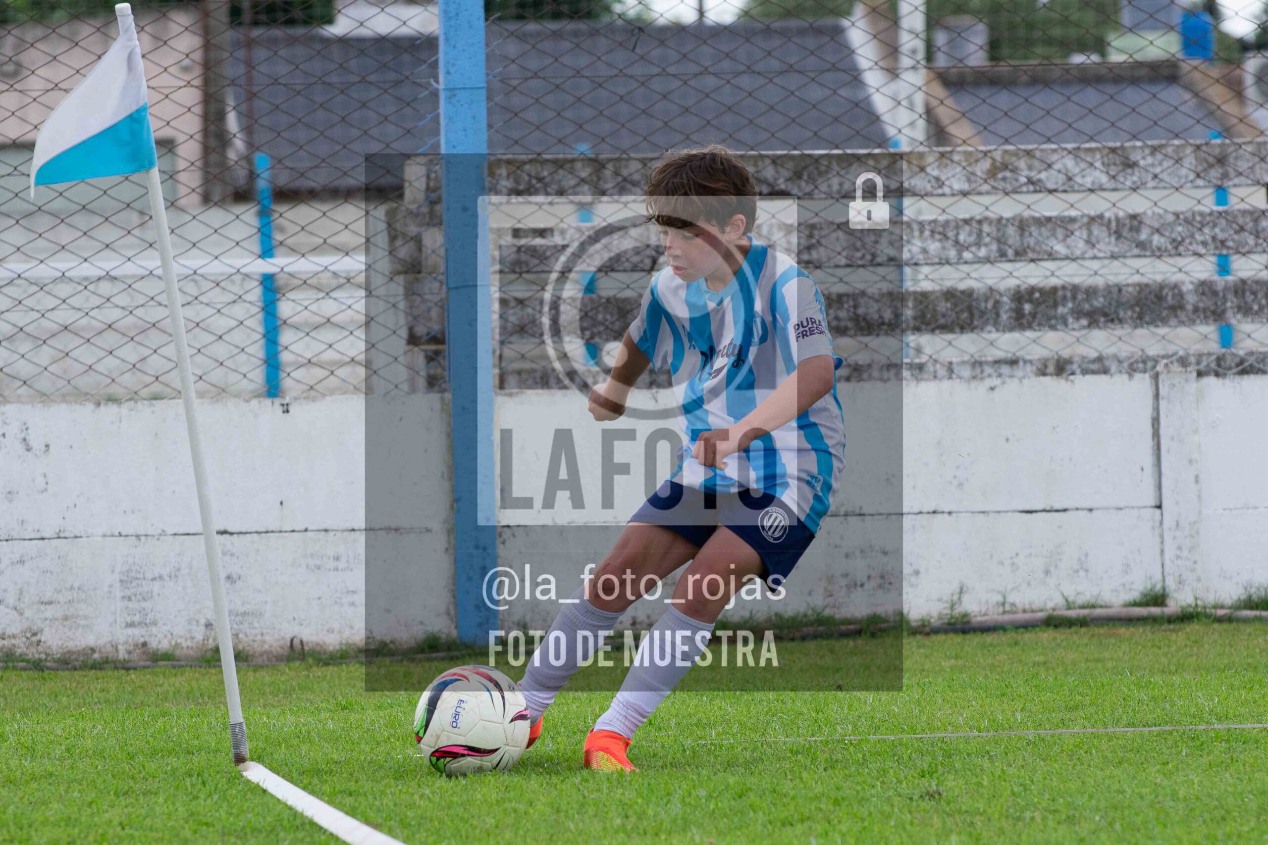 Fotografía 2015-ARG-NEW-79-scaled de ARGENTINO - NEWBERY / 2015 / 8-11