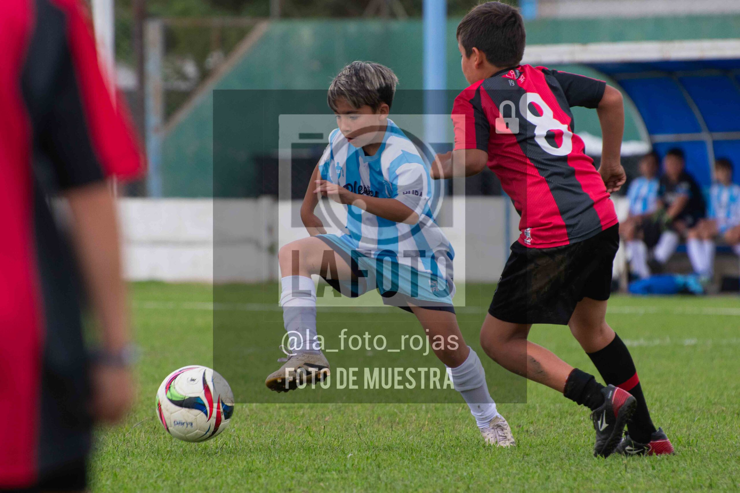 Fotografía 2015-ARG-NEW-80-scaled de ARGENTINO - NEWBERY / 2015 / 8-11