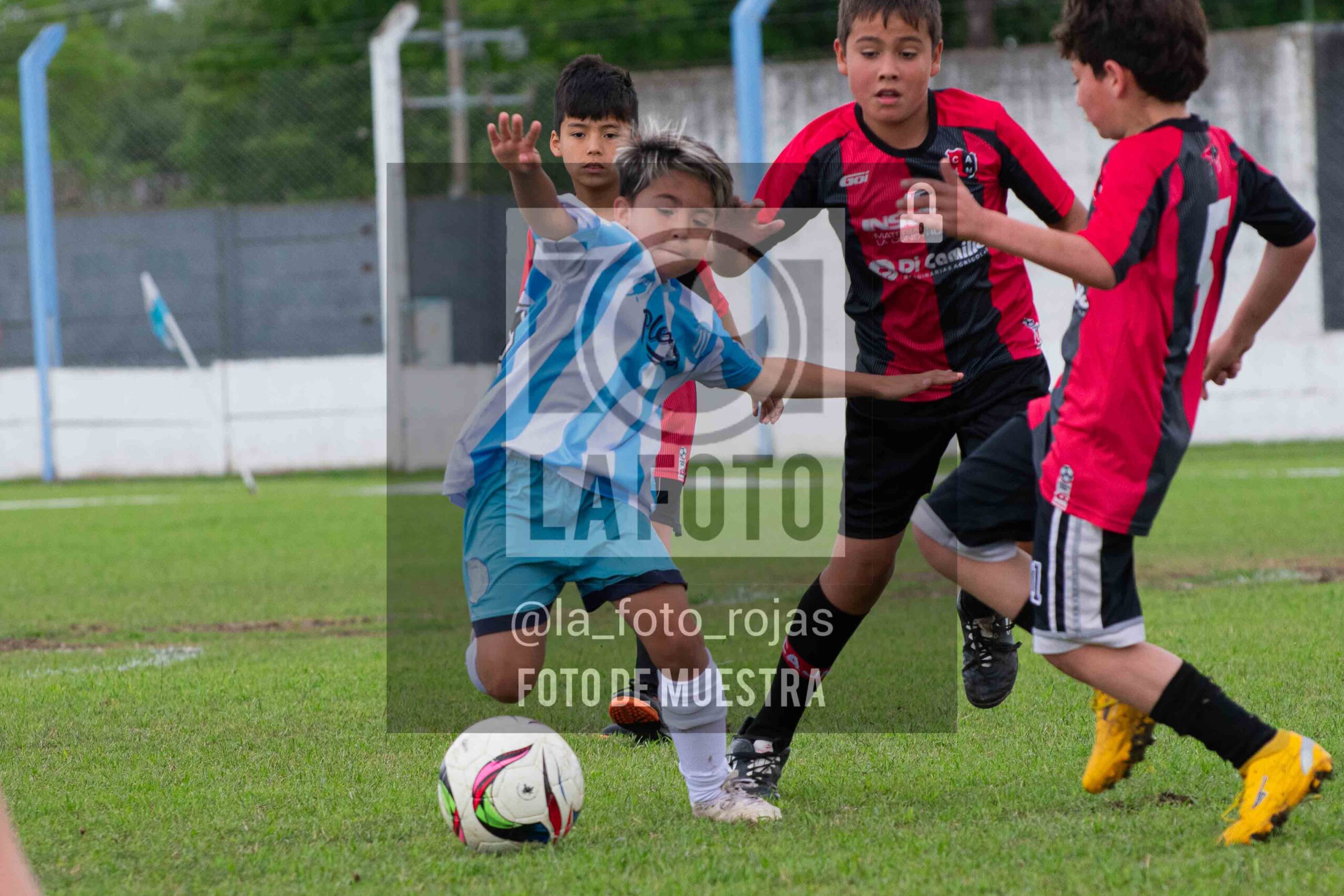Fotografía 2015-ARG-NEW-81-scaled de ARGENTINO - NEWBERY / 2015 / 8-11