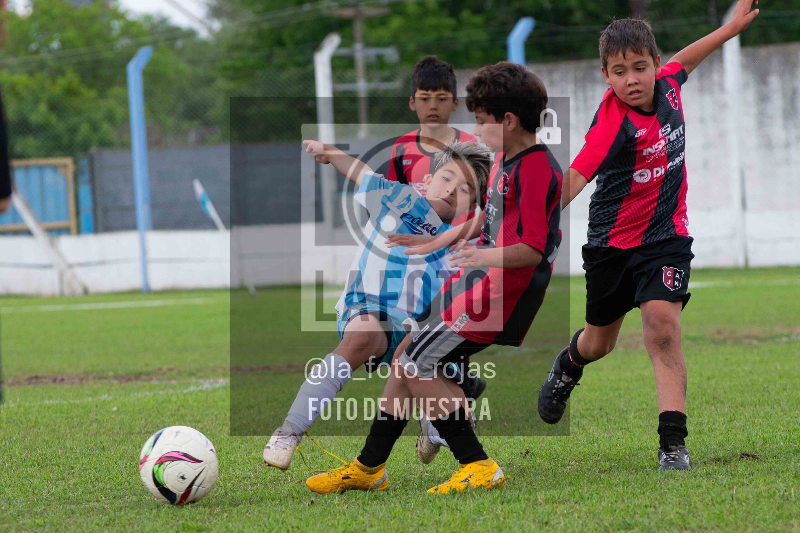 Fotografía 2015-ARG-NEW-82-scaled de ARGENTINO - NEWBERY / 2015 / 8-11