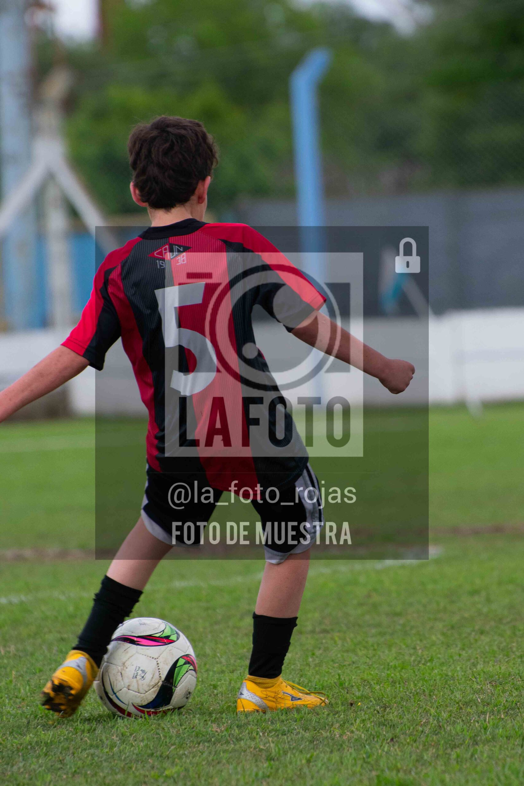 Fotografía 2015-ARG-NEW-85-scaled de ARGENTINO - NEWBERY / 2015 / 8-11