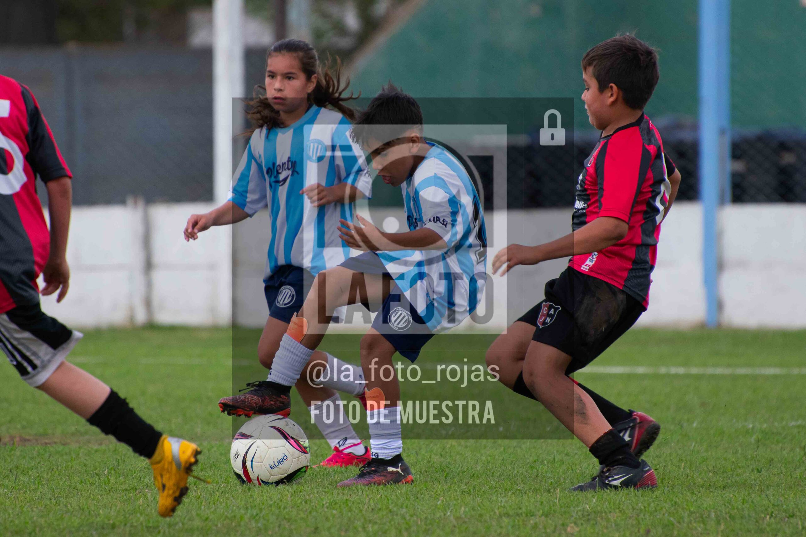Fotografía 2015-ARG-NEW-86-scaled de ARGENTINO - NEWBERY / 2015 / 8-11