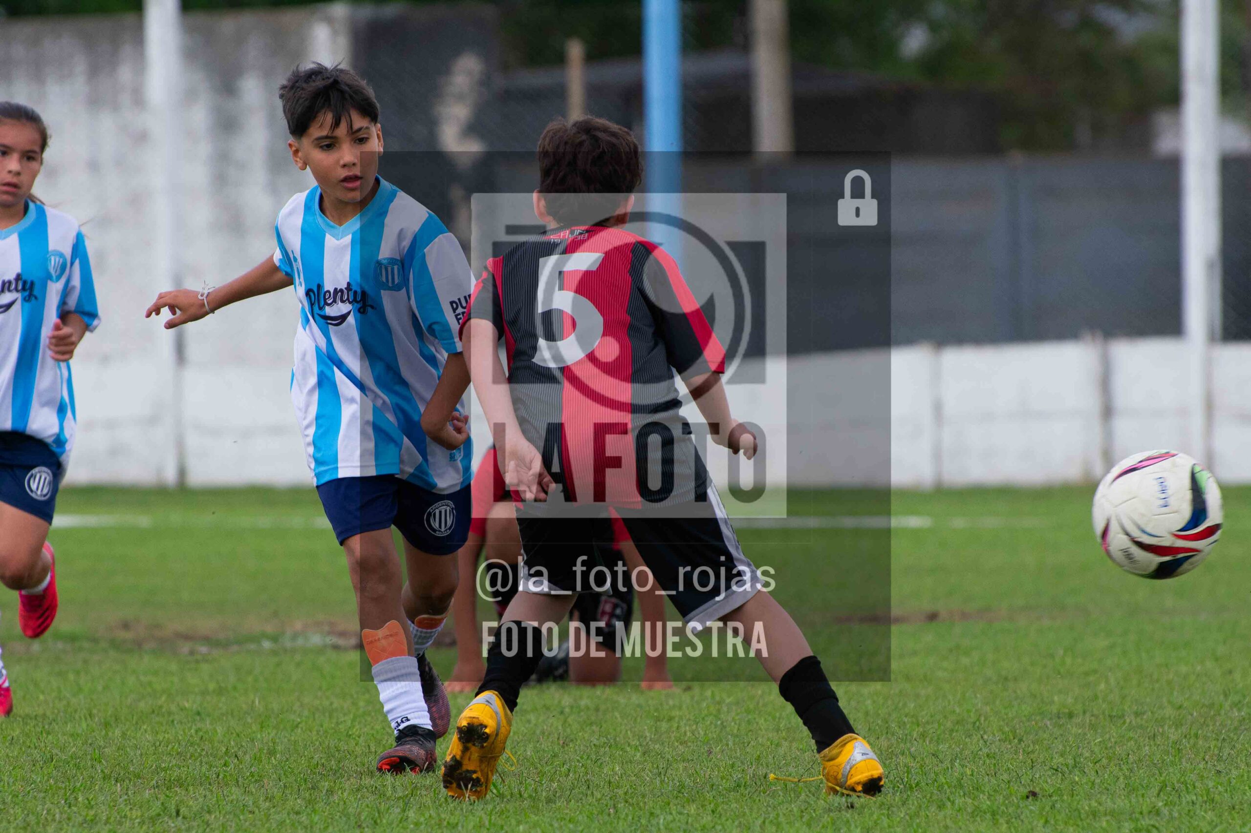 Fotografía 2015-ARG-NEW-88-scaled de ARGENTINO - NEWBERY / 2015 / 8-11
