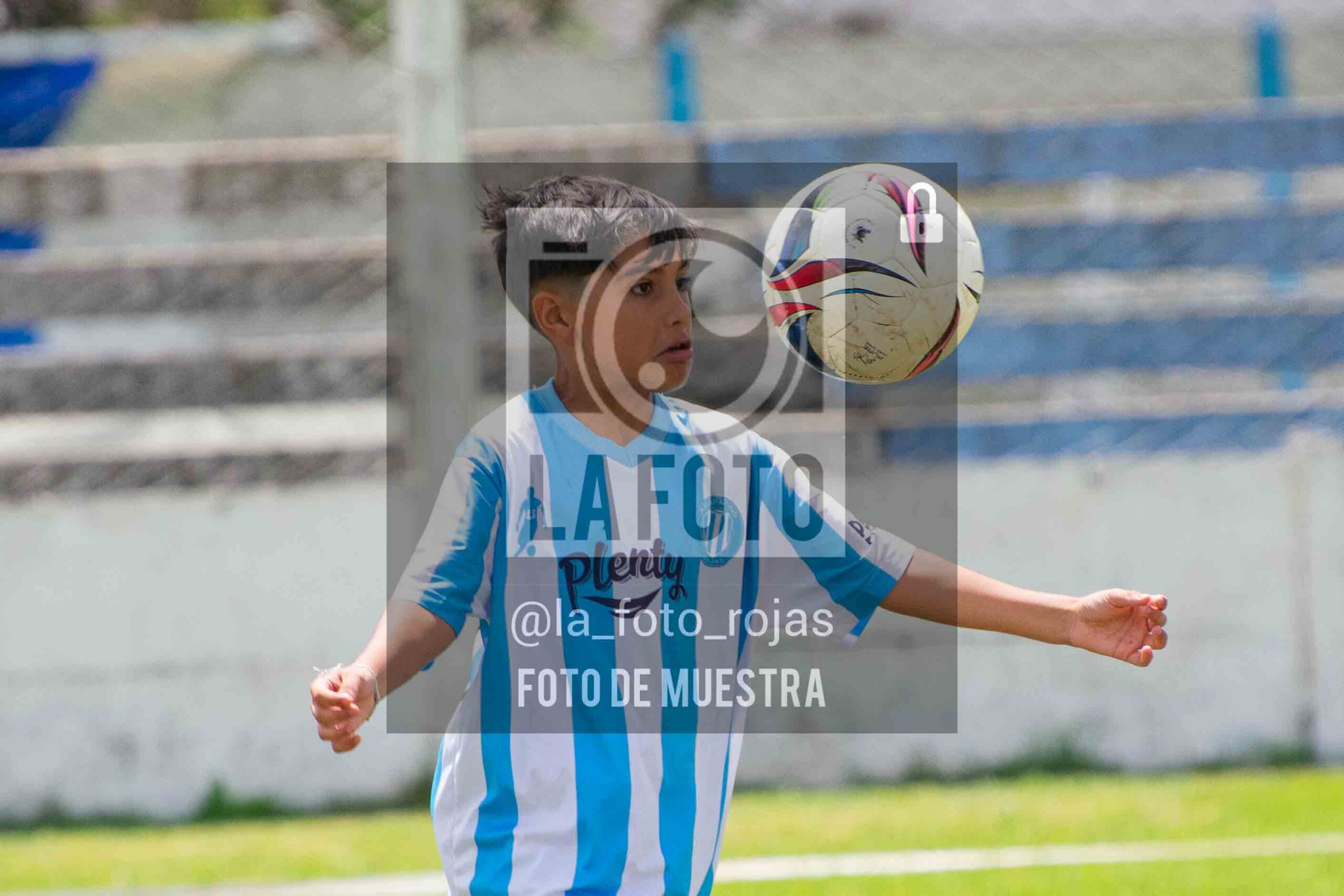 Fotografía 2015-ARG-NEW-92-scaled de ARGENTINO - NEWBERY / 2015 / 8-11