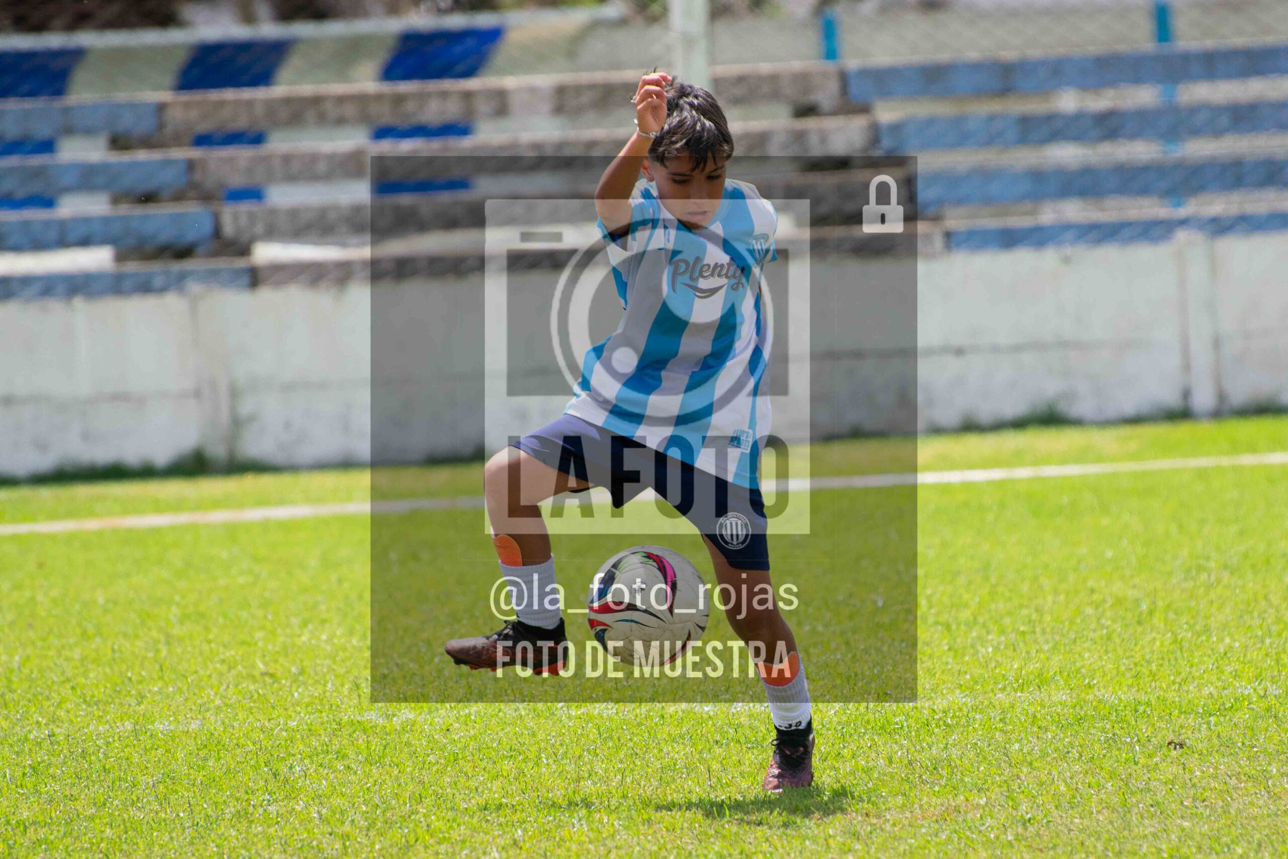 Fotografía 2015-ARG-NEW-93-scaled de ARGENTINO - NEWBERY / 2015 / 8-11