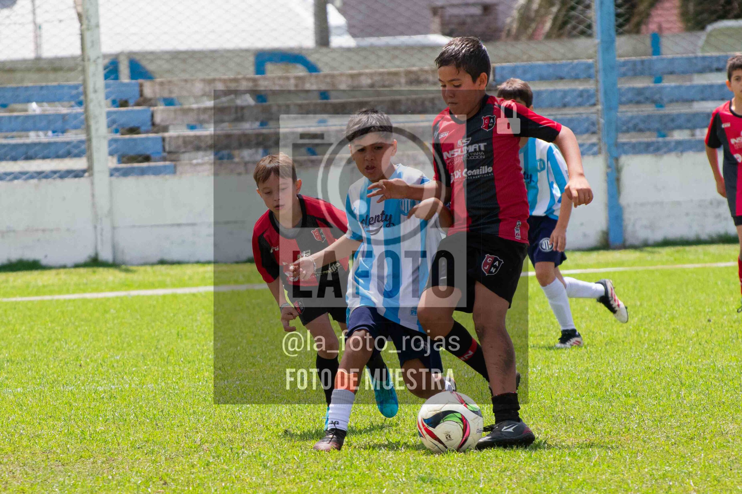 Fotografía 2015-ARG-NEW-94-scaled de ARGENTINO - NEWBERY / 2015 / 8-11