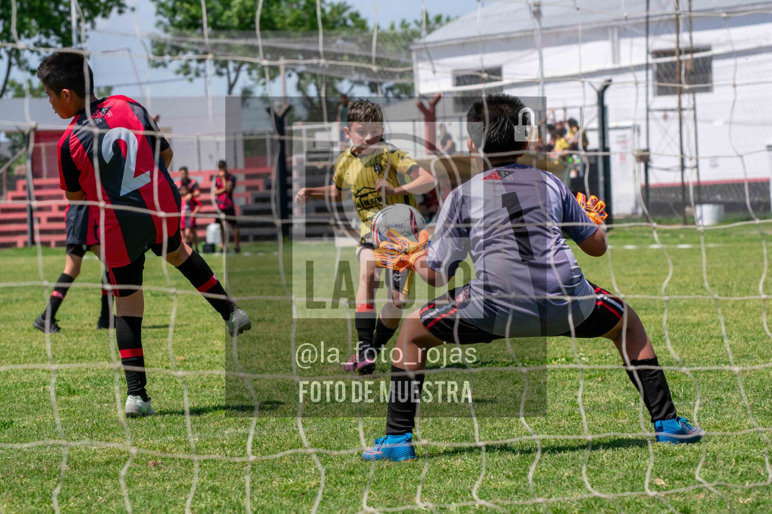 Fotografía 2015-NEW-HURA-104-1-scaled de NEWBERY - HURACAN / 2015