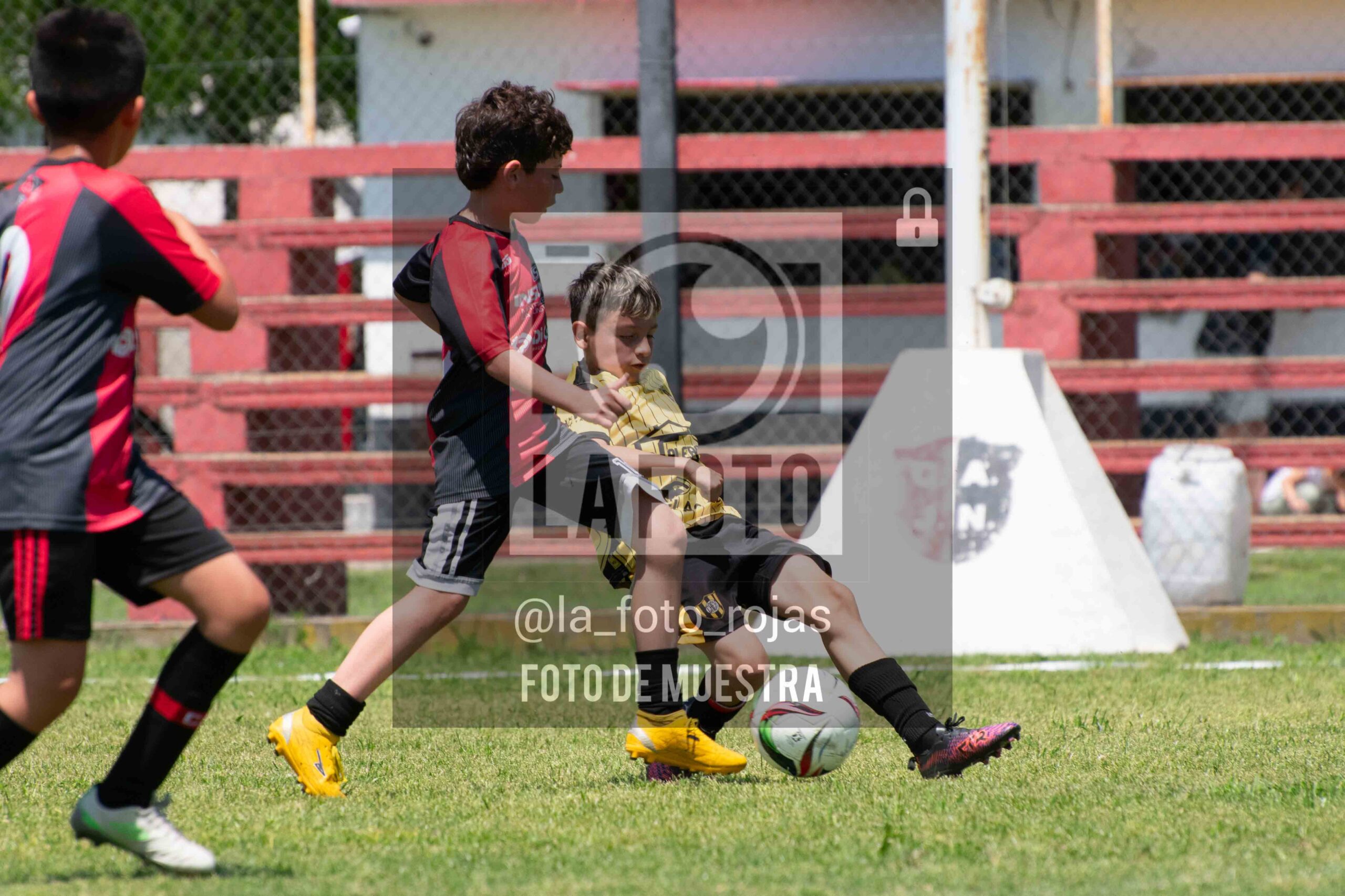 Fotografía 2015-NEW-HURA-106-1-scaled de NEWBERY - HURACAN / 2015