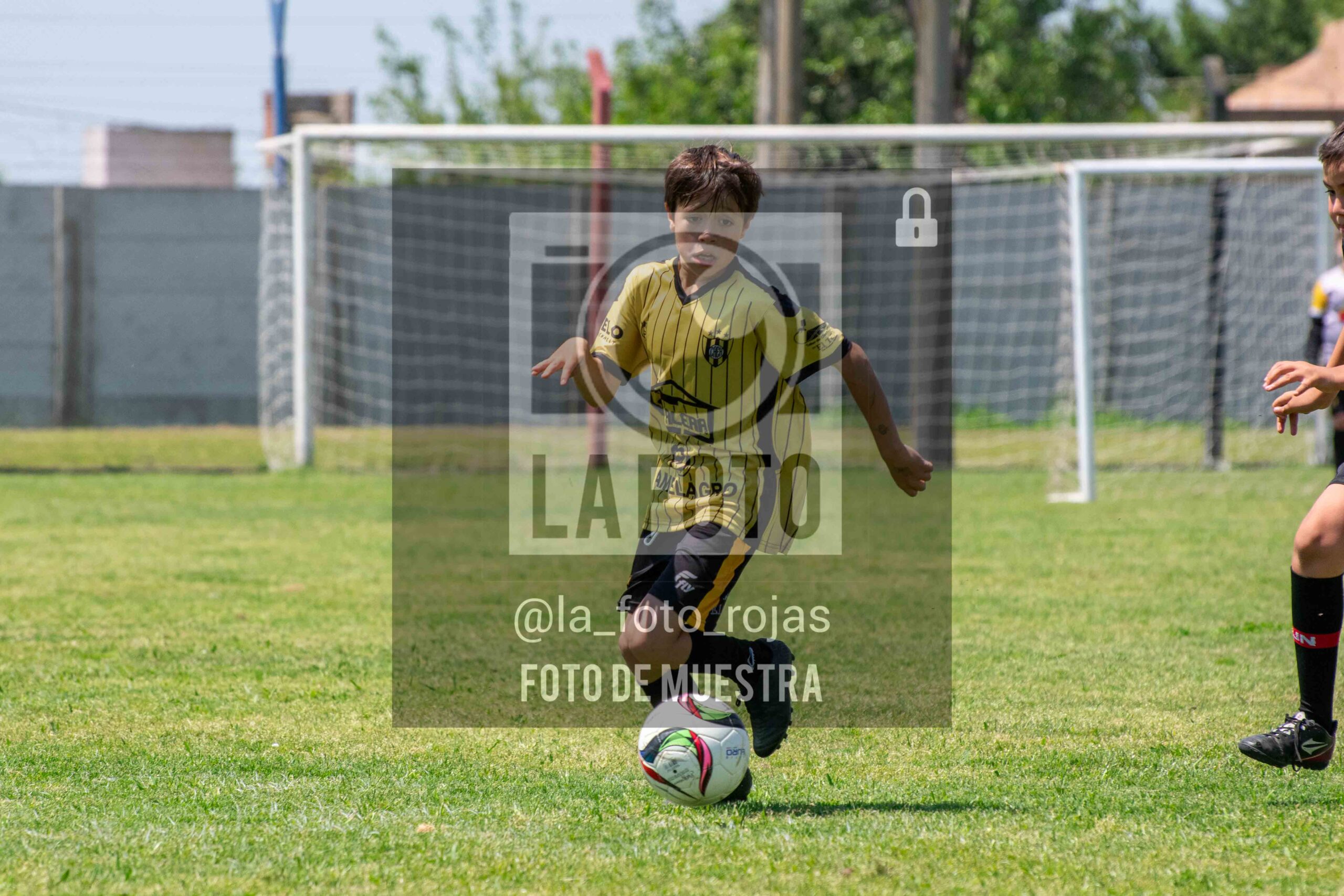 Fotografía 2015-NEW-HURA-108-1-scaled de NEWBERY - HURACAN / 2015
