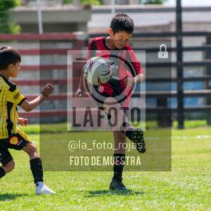 Fotografía 2015-NEW-HURA-19-1-scaled de NEWBERY - HURACAN / 2015