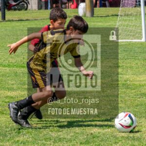 Fotografía 2015-NEW-HURA-40-scaled de NEWBERY - HURACAN / 2015