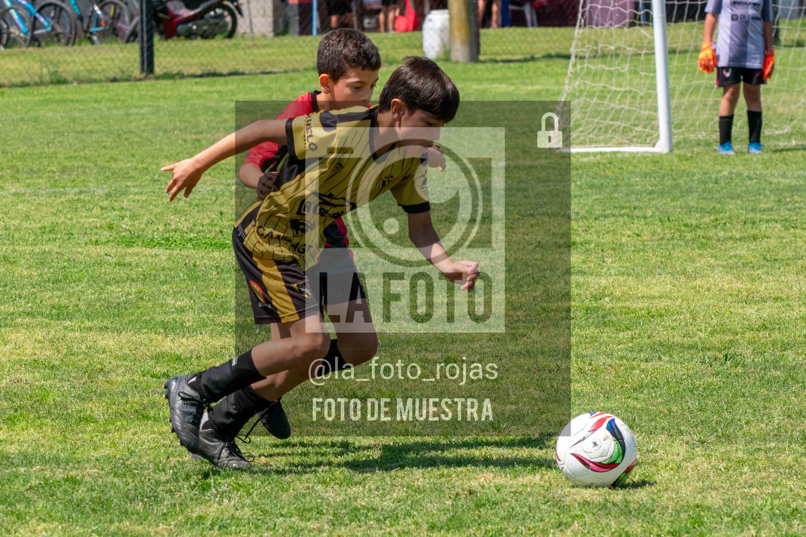 Fotografía 2015-NEW-HURA-40-scaled de NEWBERY - HURACAN / 2015