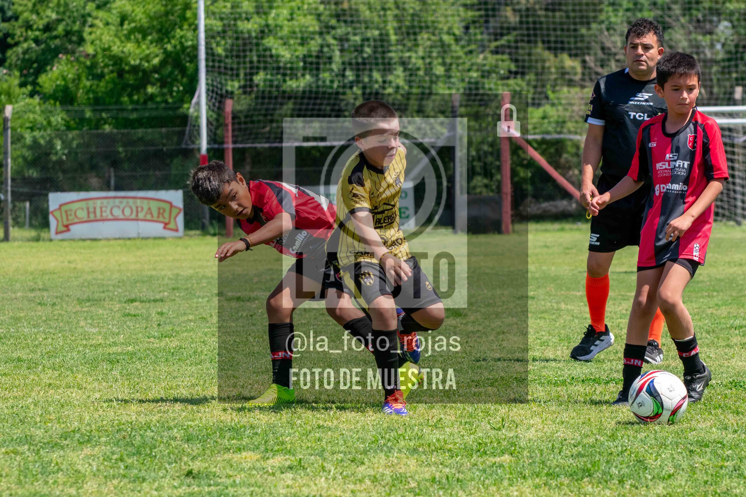 Fotografía 2015-NEW-HURA-59-scaled de NEWBERY - HURACAN / 2015