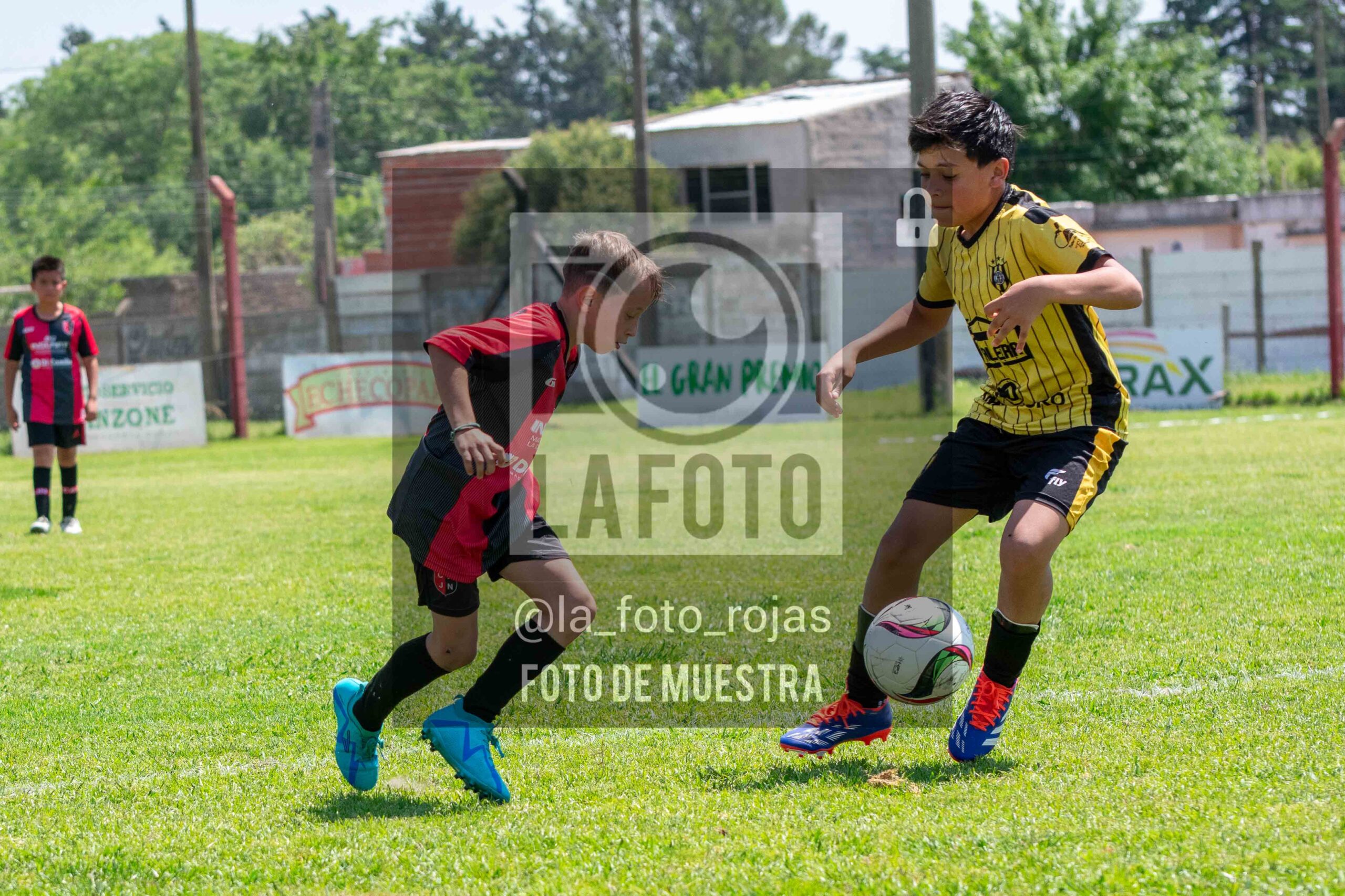 Fotografía 2015-NEW-HURA-72-scaled de NEWBERY - HURACAN / 2015