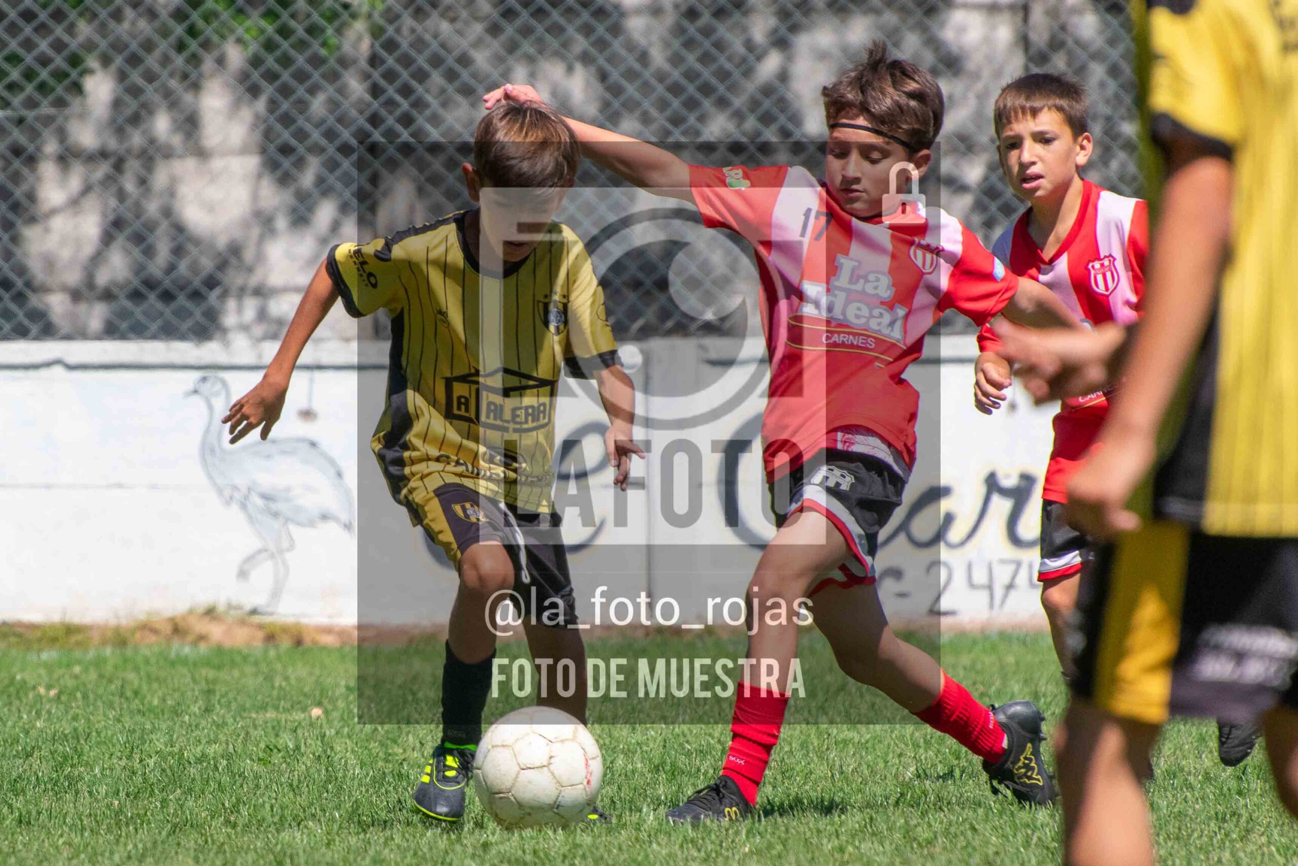 Fotografía 2015-hur-juv-23-scaled de 22-11 HURACAN JUVENTUD / 2015