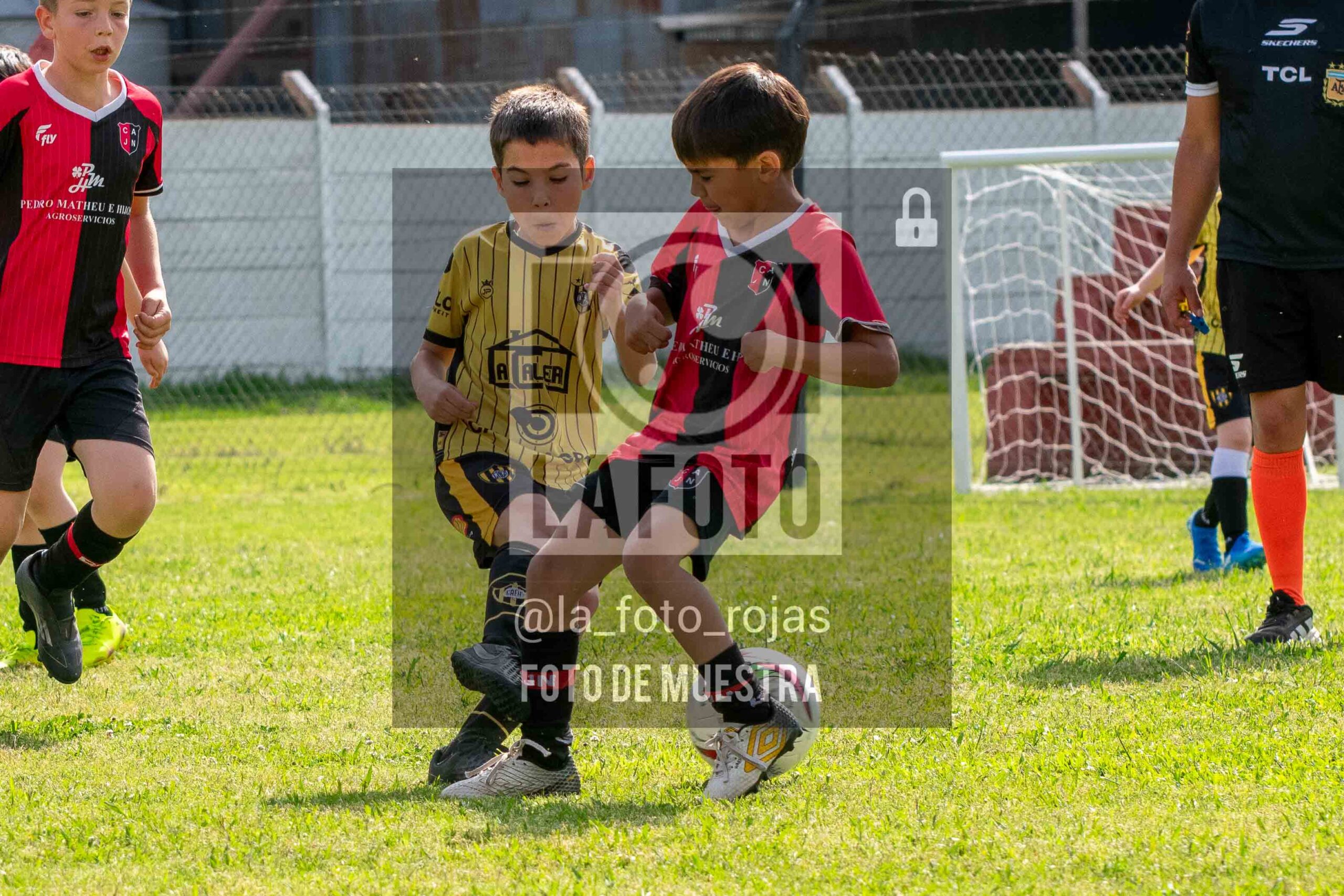 Fotografía 2016-NEW-HURA-1-scaled de NEWBERY - HURACAN / 2016