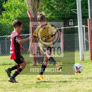 Fotografía 2016-NEW-HURA-38-scaled de NEWBERY - HURACAN / 2016