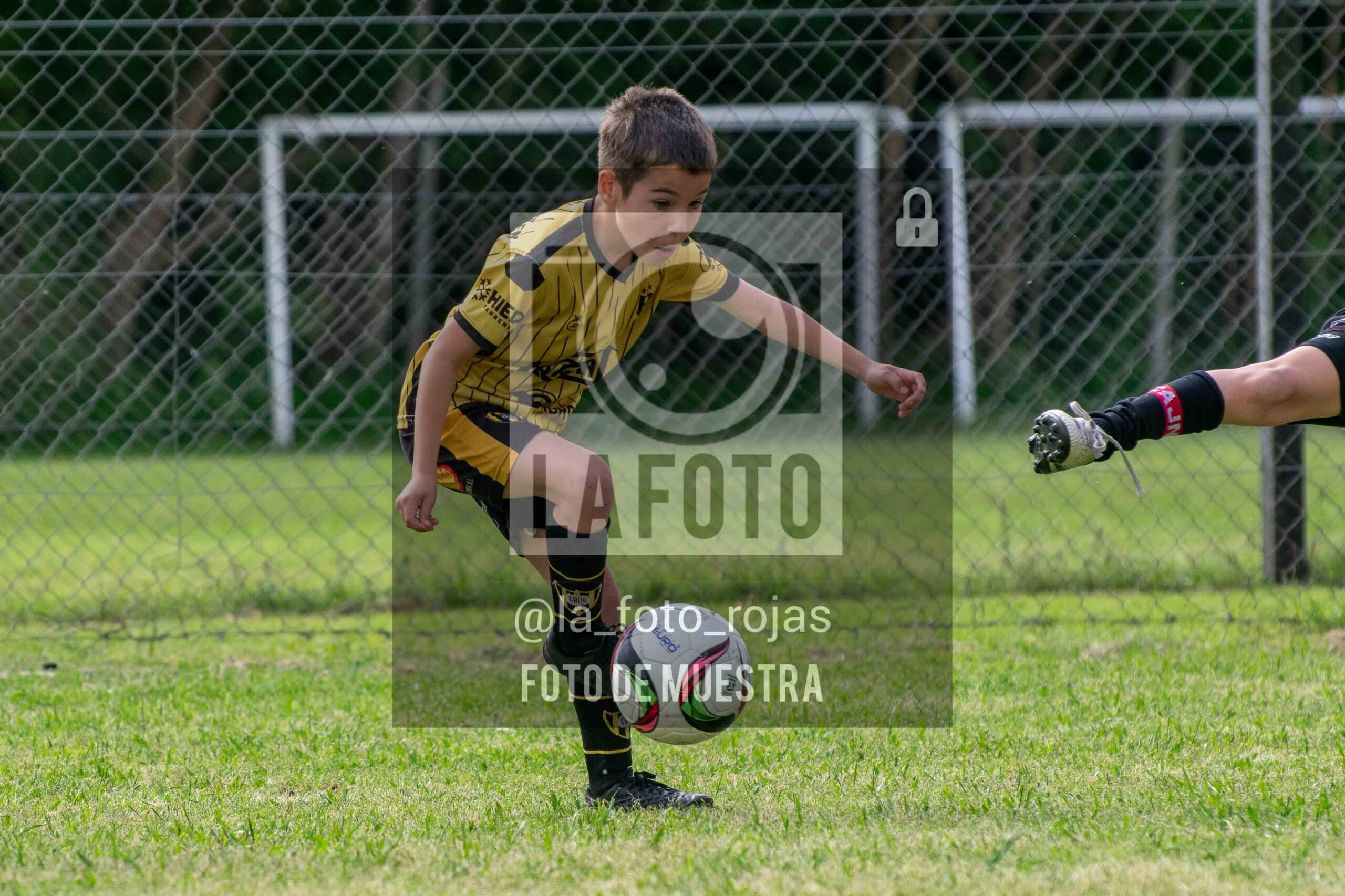 Fotografía 2016-NEW-HURA-4-scaled de NEWBERY - HURACAN / 2016