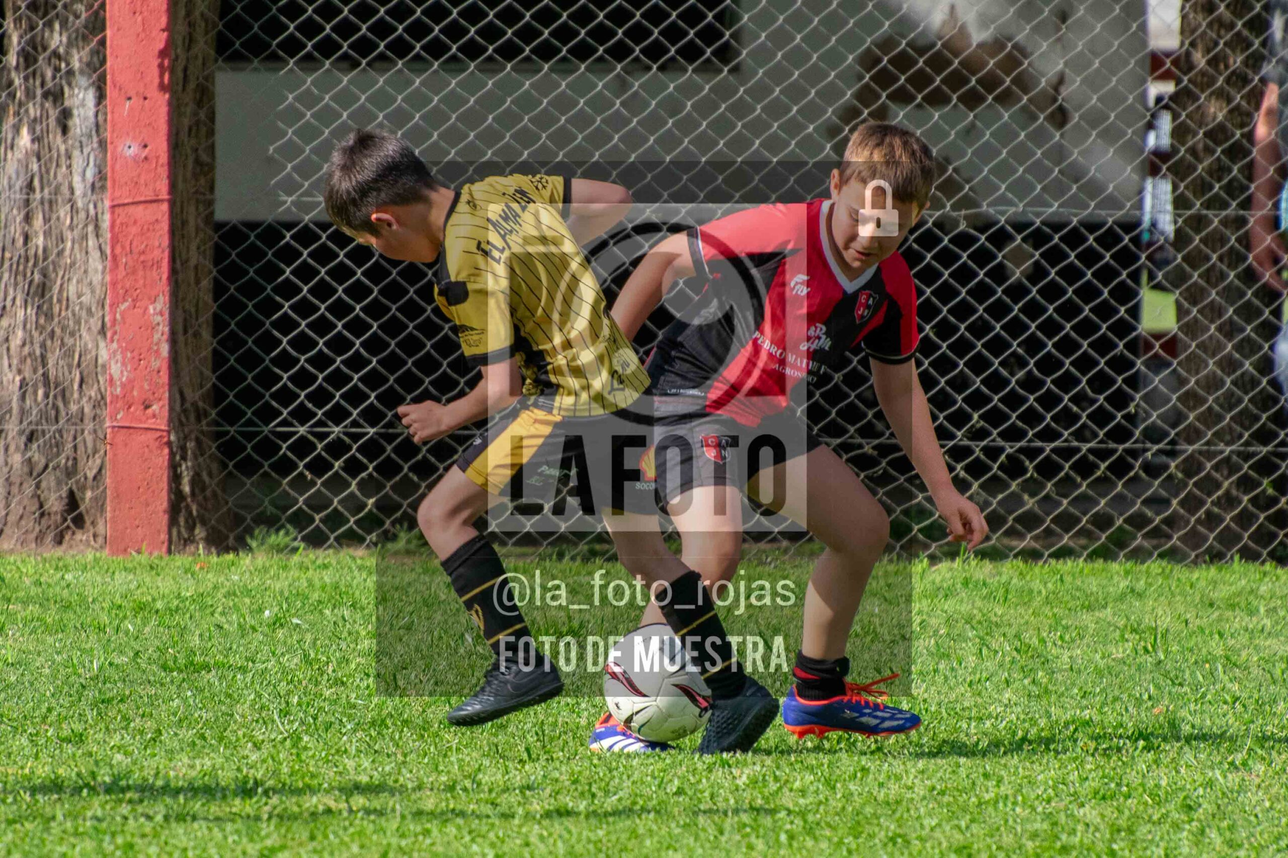 Fotografía 2016-NEW-HURA-72-scaled de NEWBERY - HURACAN / 2016