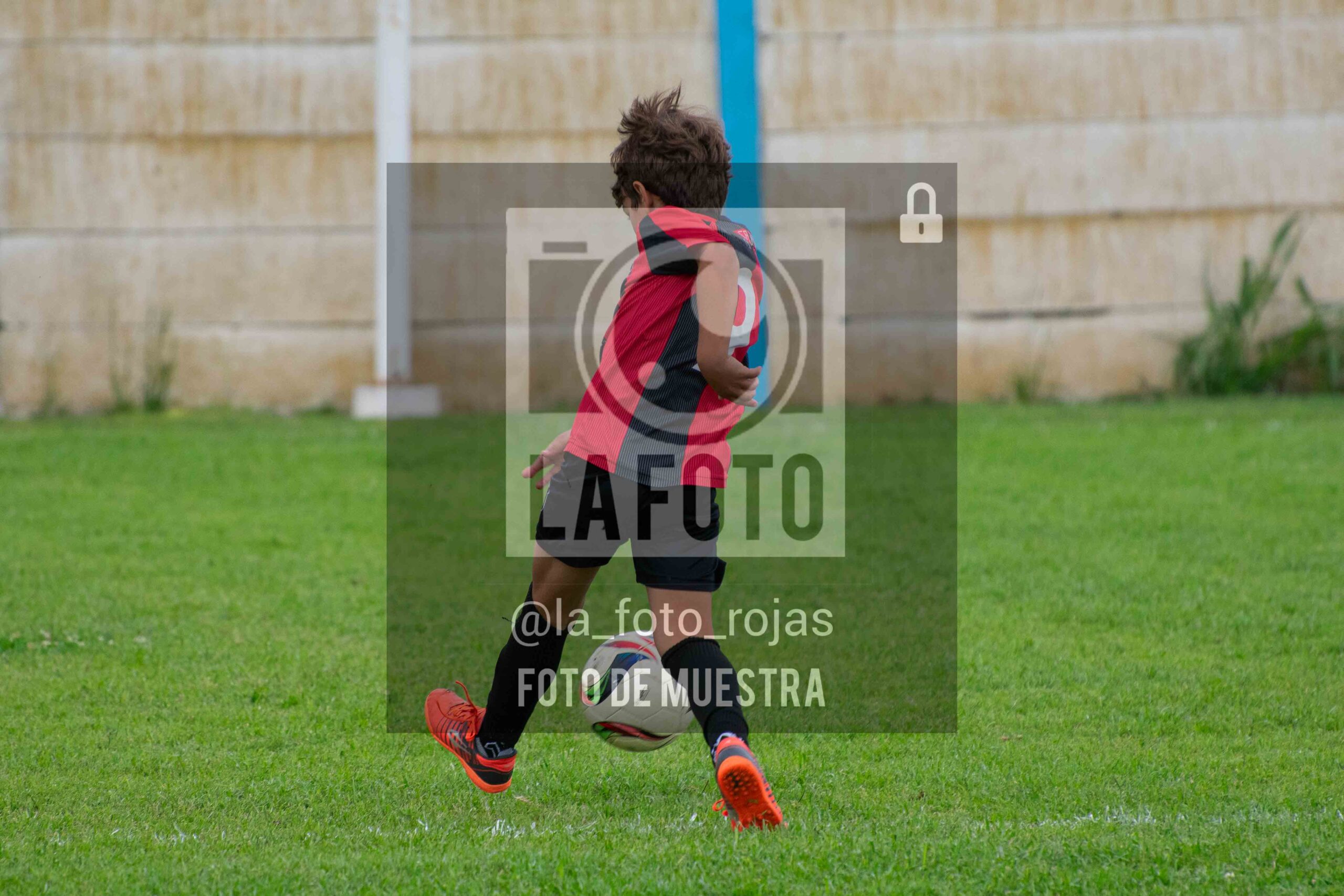Fotografía 2017-ARG-NEW-100-scaled de ARGENTINO - NEWBERY / 2017 / 8-11