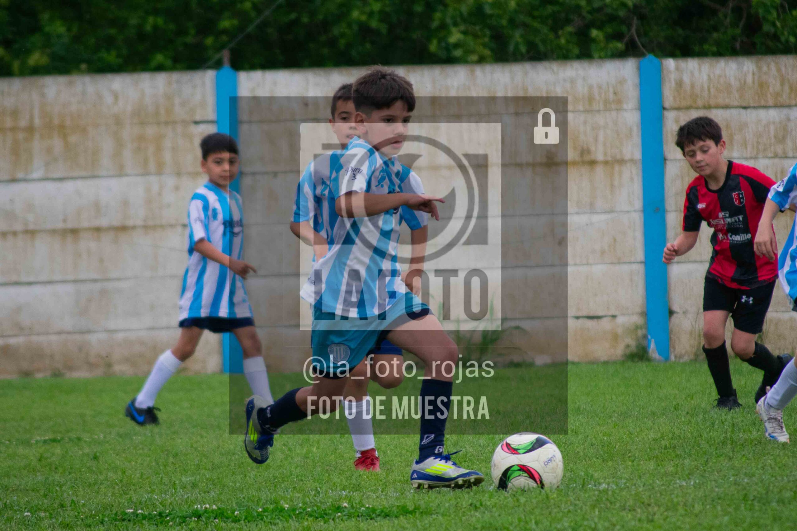Fotografía 2017-ARG-NEW-103-scaled de ARGENTINO - NEWBERY / 2017 / 8-11