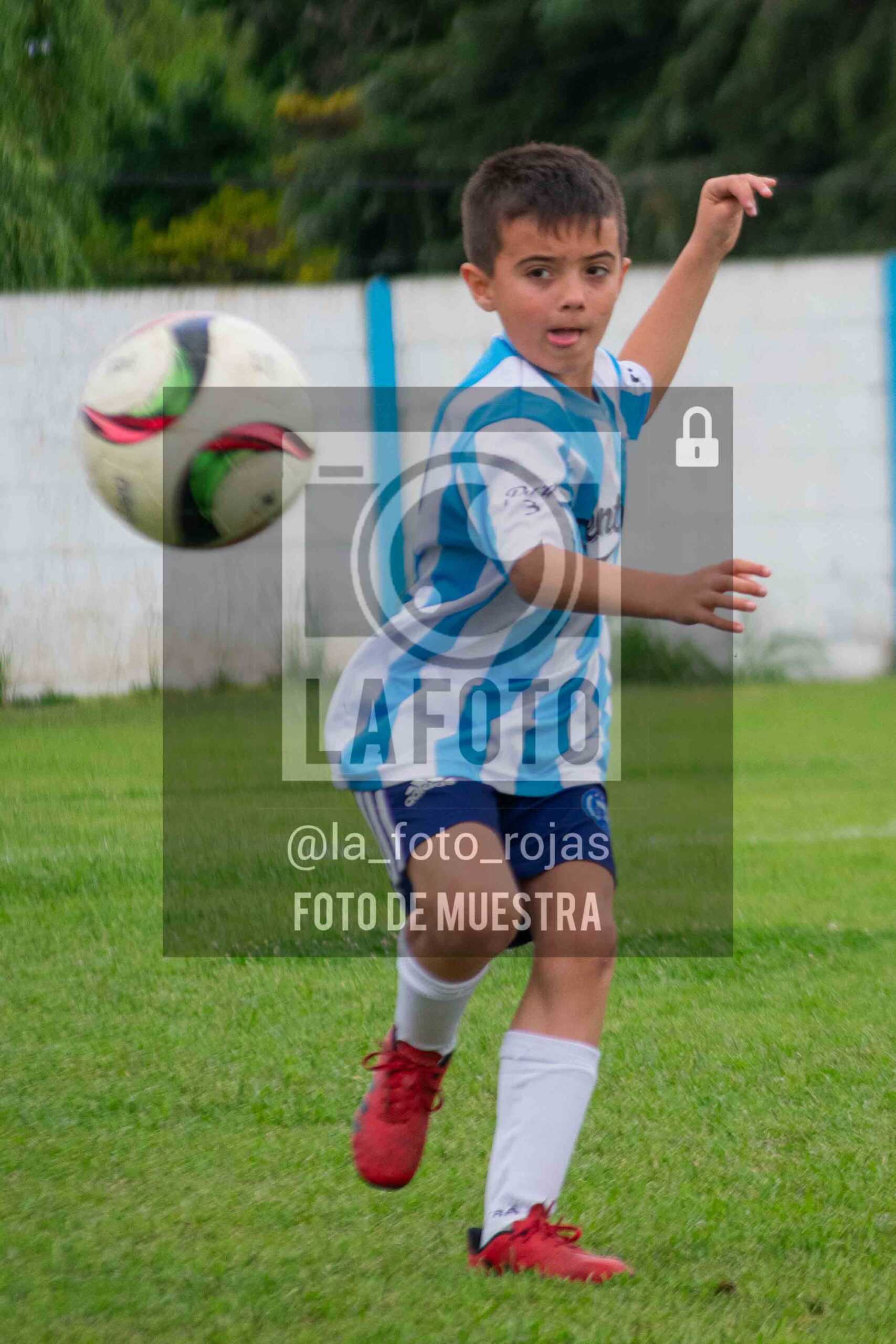 Fotografía 2017-ARG-NEW-106-scaled de ARGENTINO - NEWBERY / 2017 / 8-11