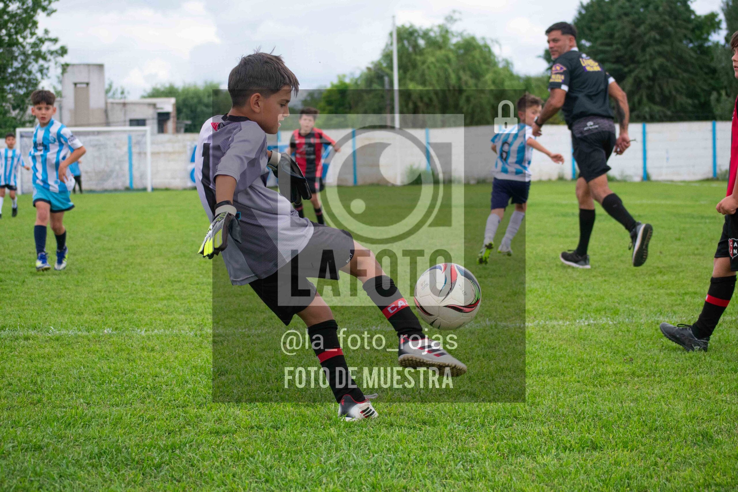 Fotografía 2017-ARG-NEW-107-scaled de ARGENTINO - NEWBERY / 2017 / 8-11