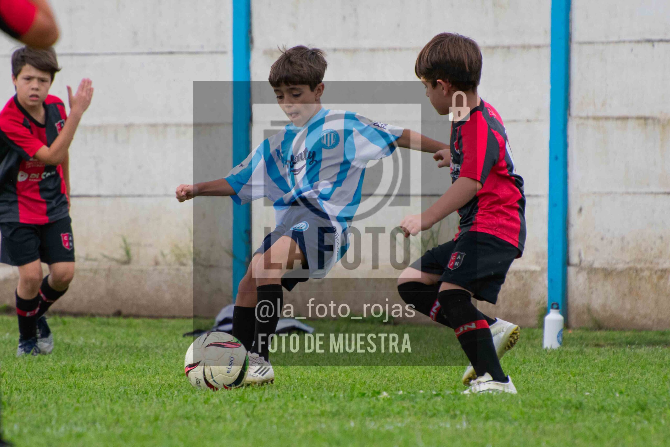 Fotografía 2017-ARG-NEW-11-scaled de ARGENTINO - NEWBERY / 2017 / 8-11