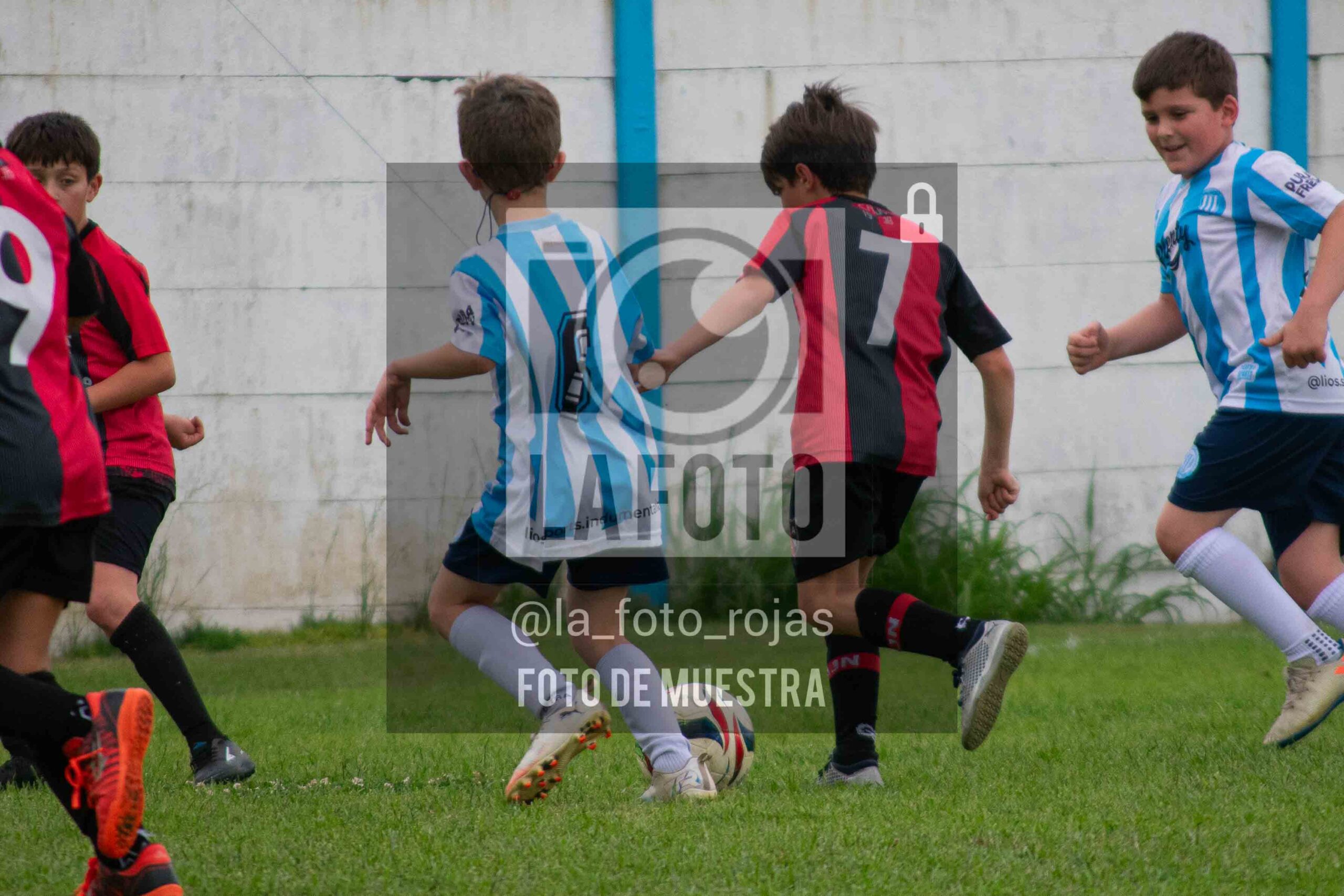 Fotografía 2017-ARG-NEW-114-scaled de ARGENTINO - NEWBERY / 2017 / 8-11