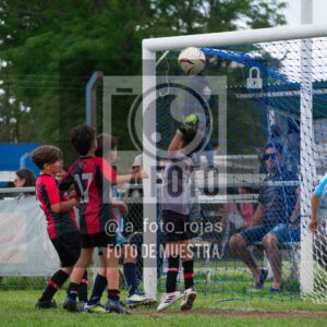 Fotografía 2017-ARG-NEW-125-scaled de ARGENTINO - NEWBERY / 2017 / 8-11