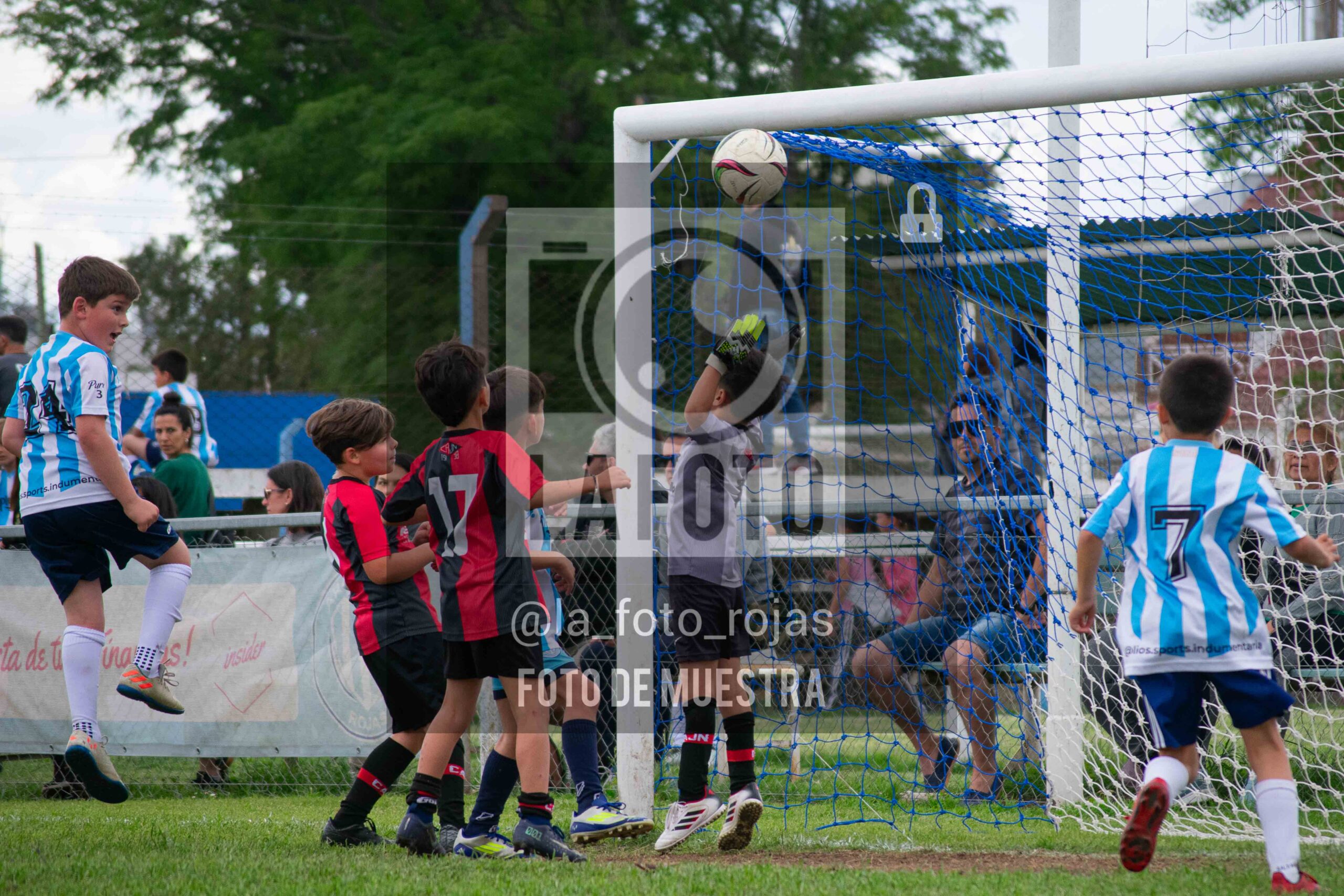 Fotografía 2017-ARG-NEW-125-scaled de ARGENTINO - NEWBERY / 2017 / 8-11