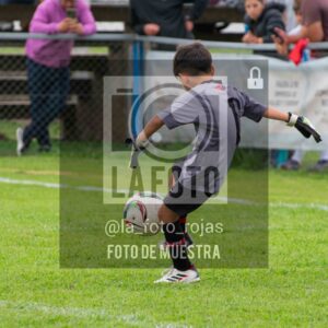 Fotografía 2017-ARG-NEW-126-scaled de ARGENTINO - NEWBERY / 2017 / 8-11