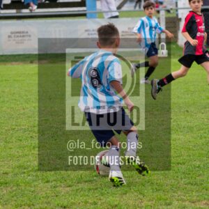 Fotografía 2017-ARG-NEW-132-scaled de ARGENTINO - NEWBERY / 2017 / 8-11