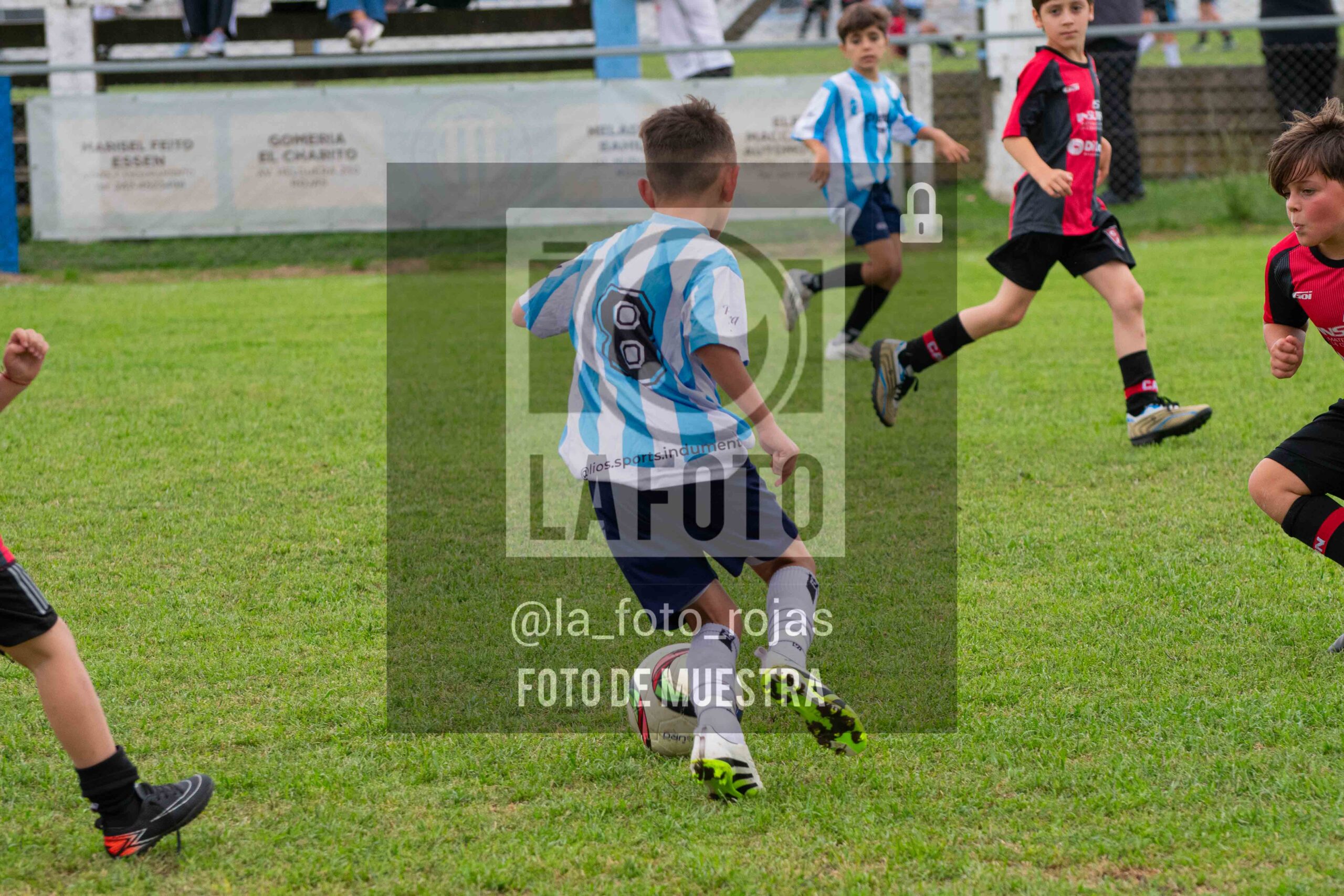 Fotografía 2017-ARG-NEW-132-scaled de ARGENTINO - NEWBERY / 2017 / 8-11