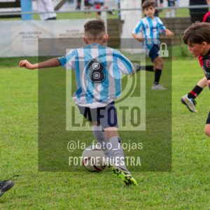 Fotografía 2017-ARG-NEW-133-scaled de ARGENTINO - NEWBERY / 2017 / 8-11